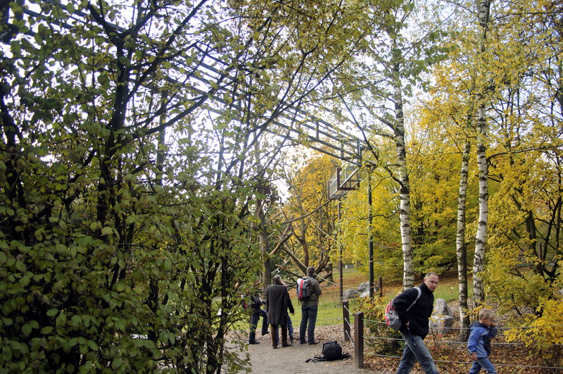 New Tufted Capuchin enclosure