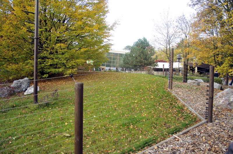 New Tufted Capuchin enclosure