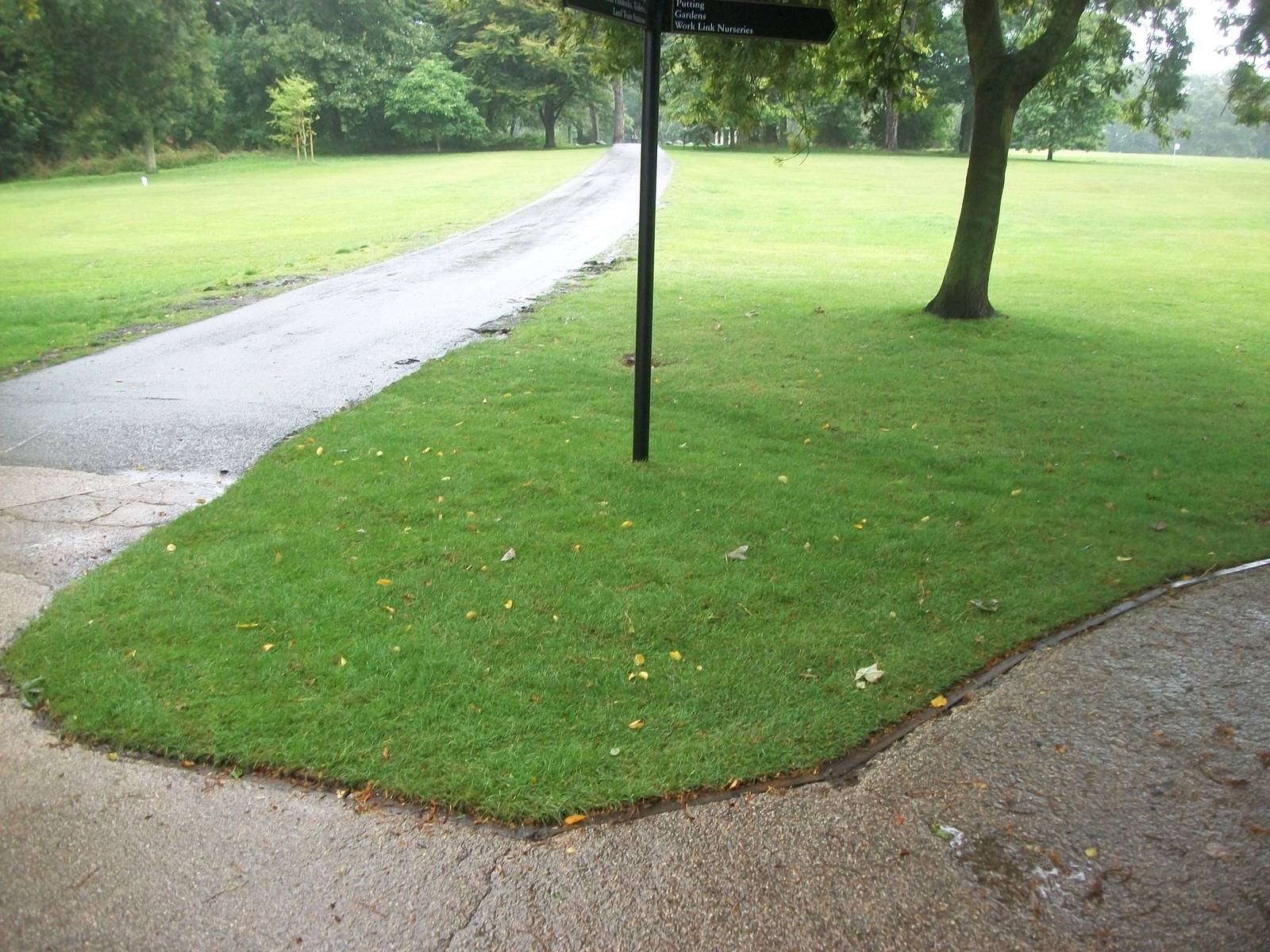 New turf near zoo skip, 10th August 2014