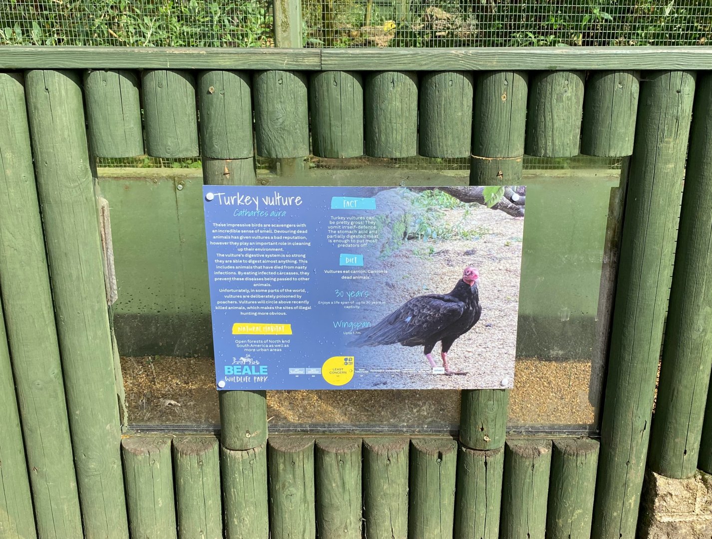 New turkey vulture sign, Beale park, UK