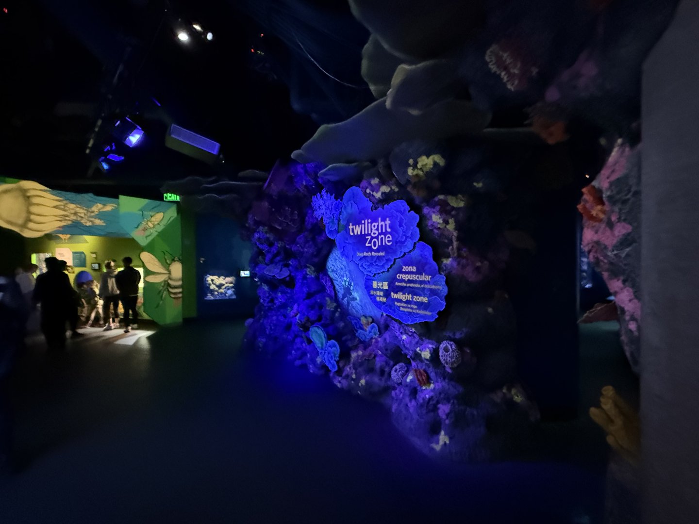 New twilight zone entrance