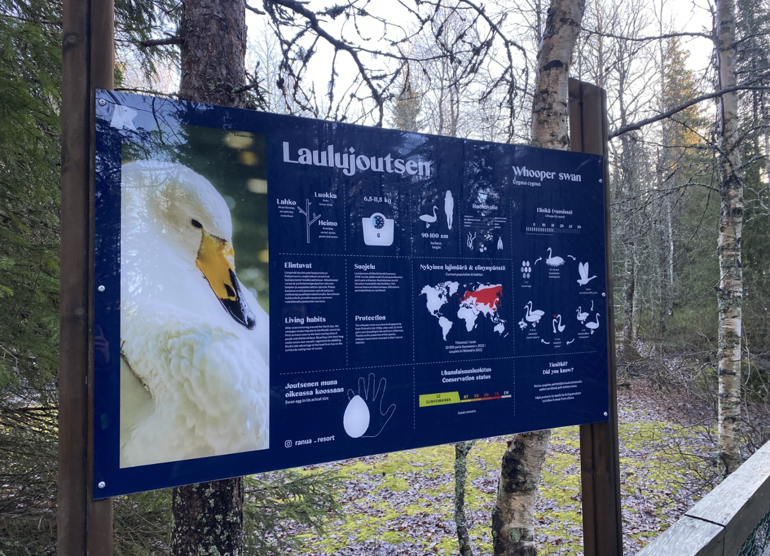 New-type species info sign at Ranua Wildlife Park