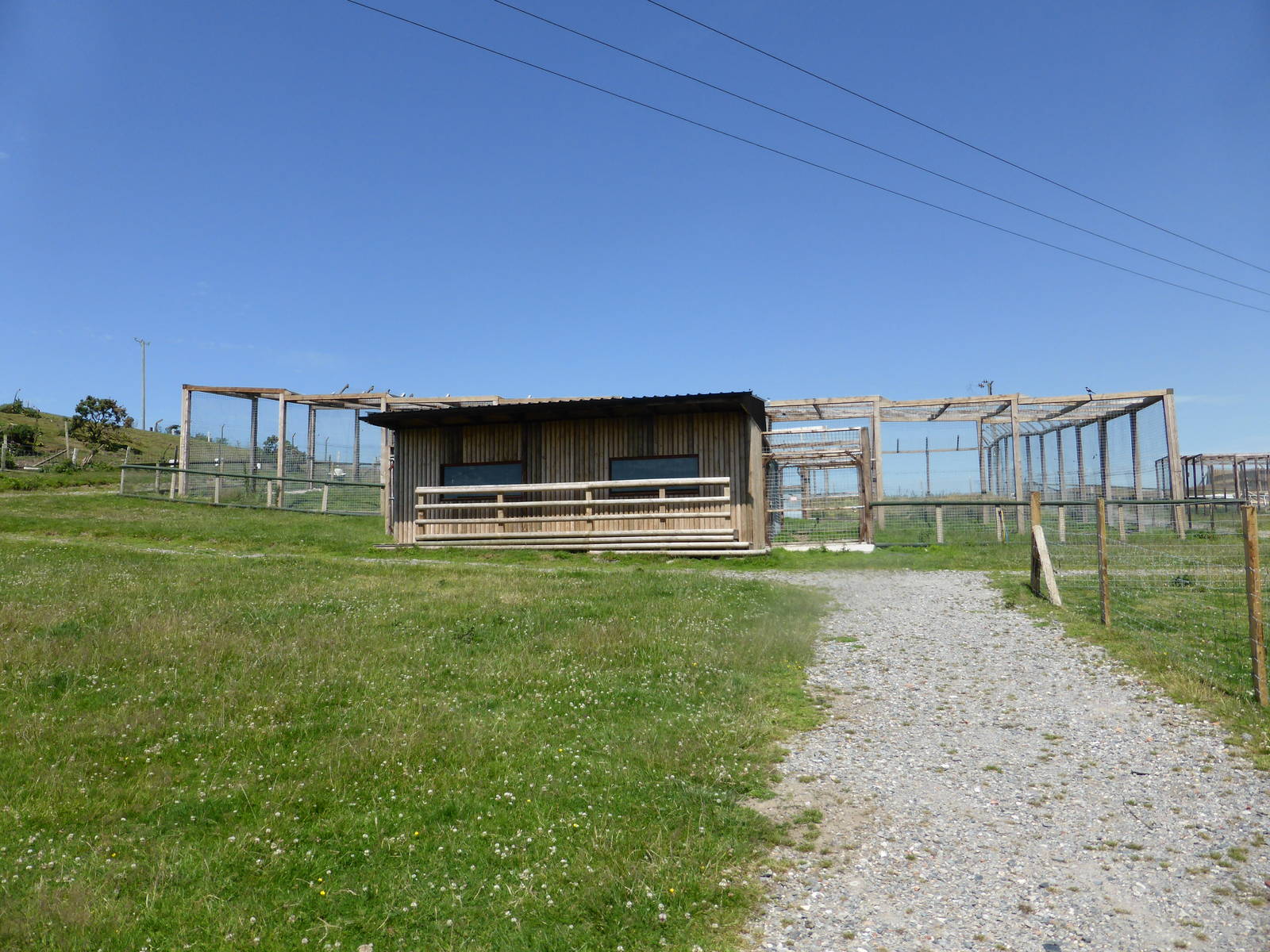 New , unused , Lion House and enclosure in extension area .