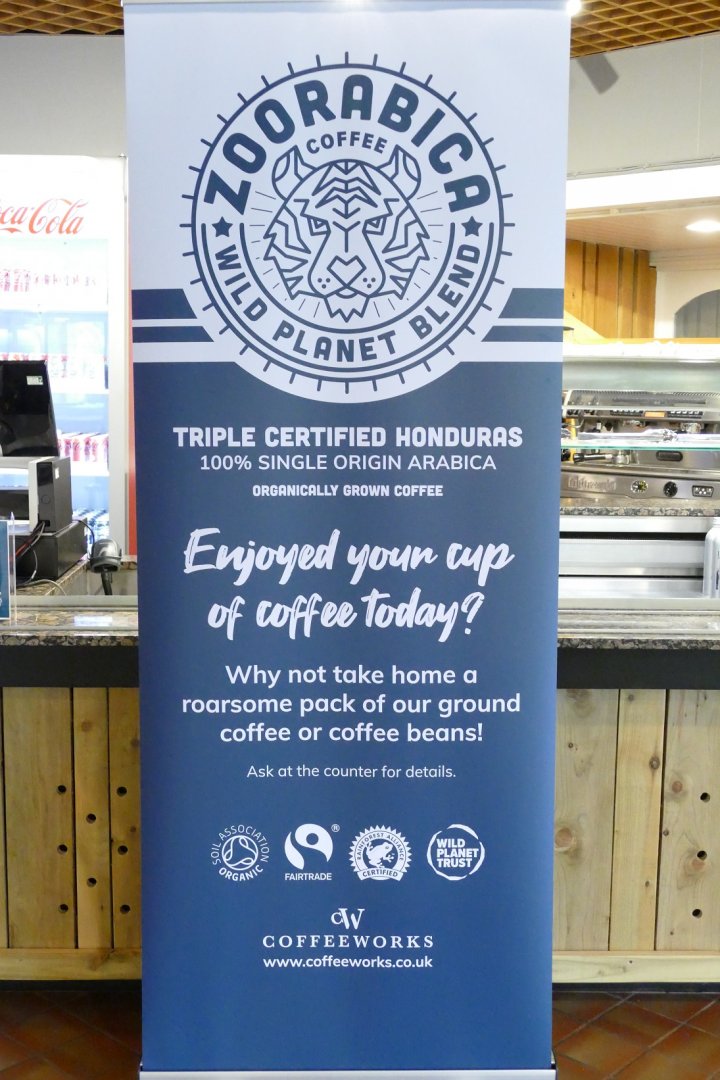 New venture in the restaurant, July 2022