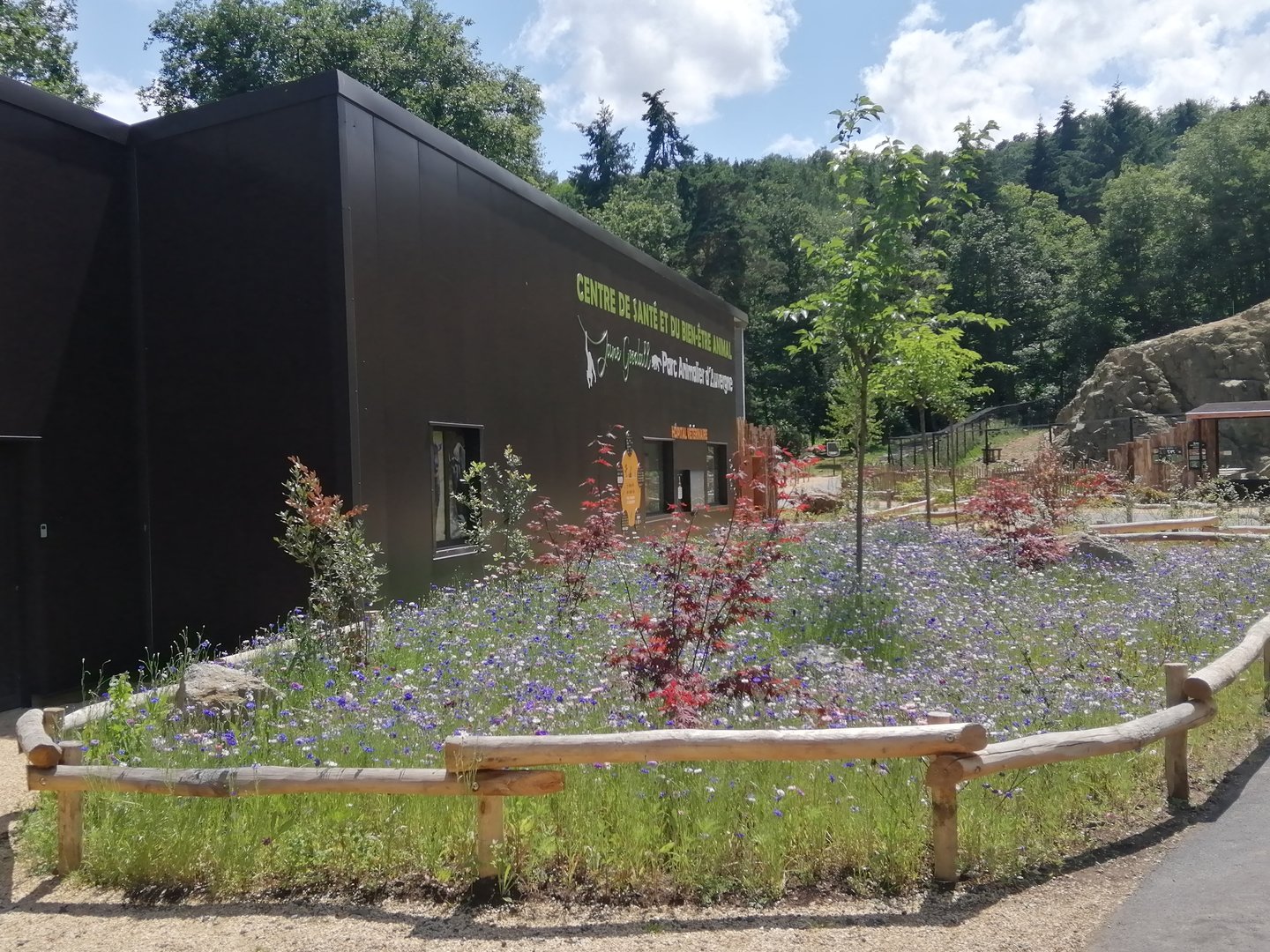 New Veterinary Clinic