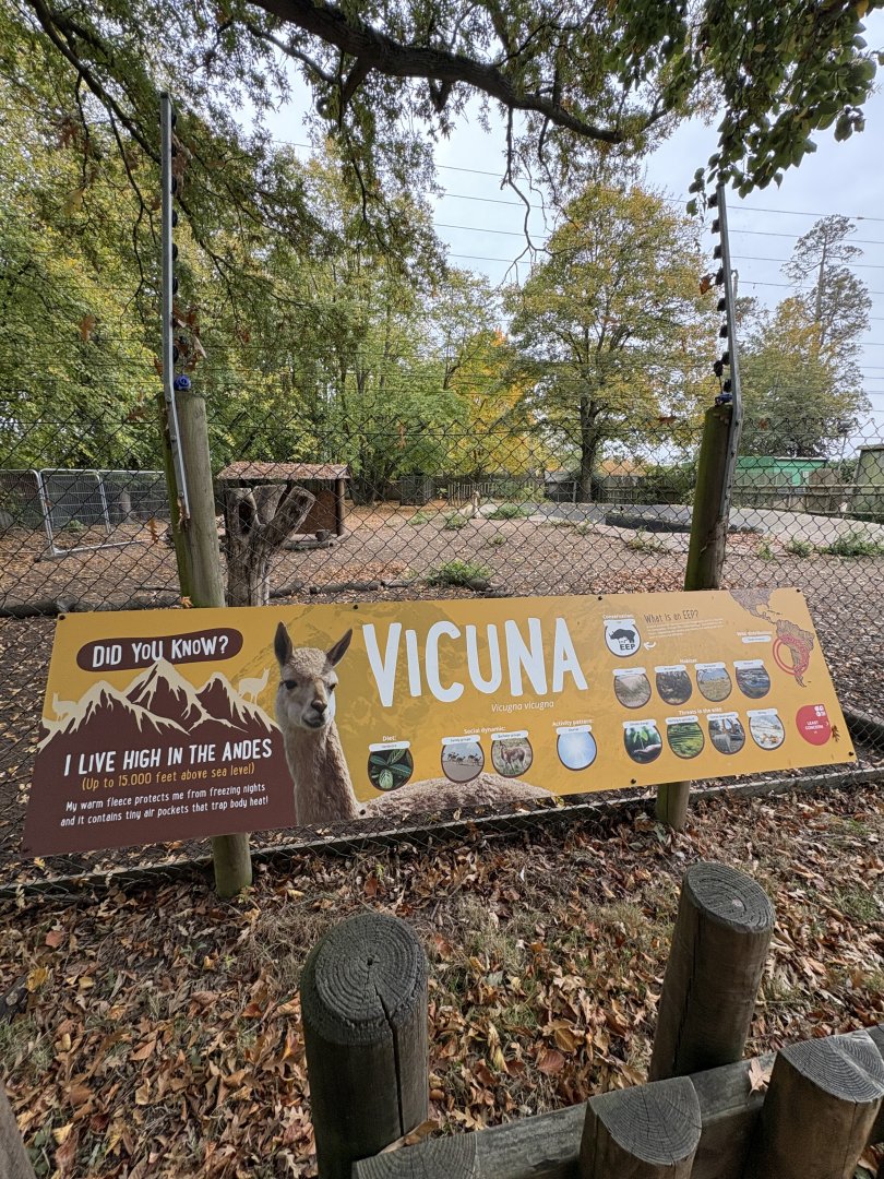 New Vicuña Signage