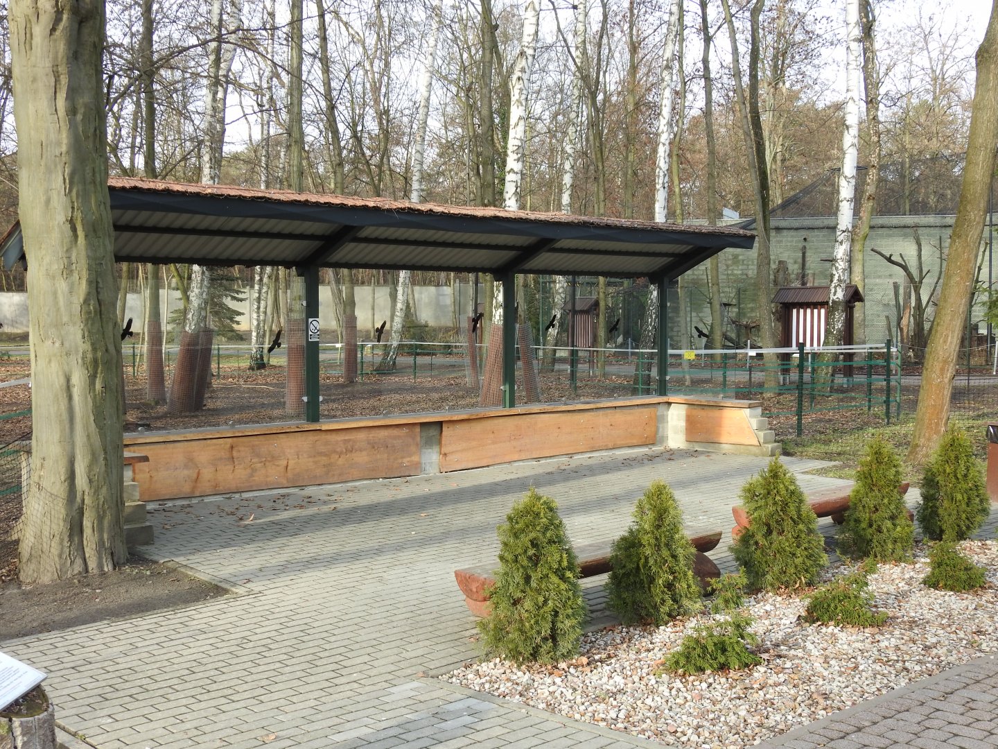 new vicunia exhibition