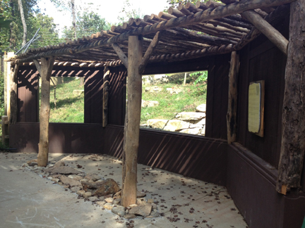 New View into updated red wolf exhibit