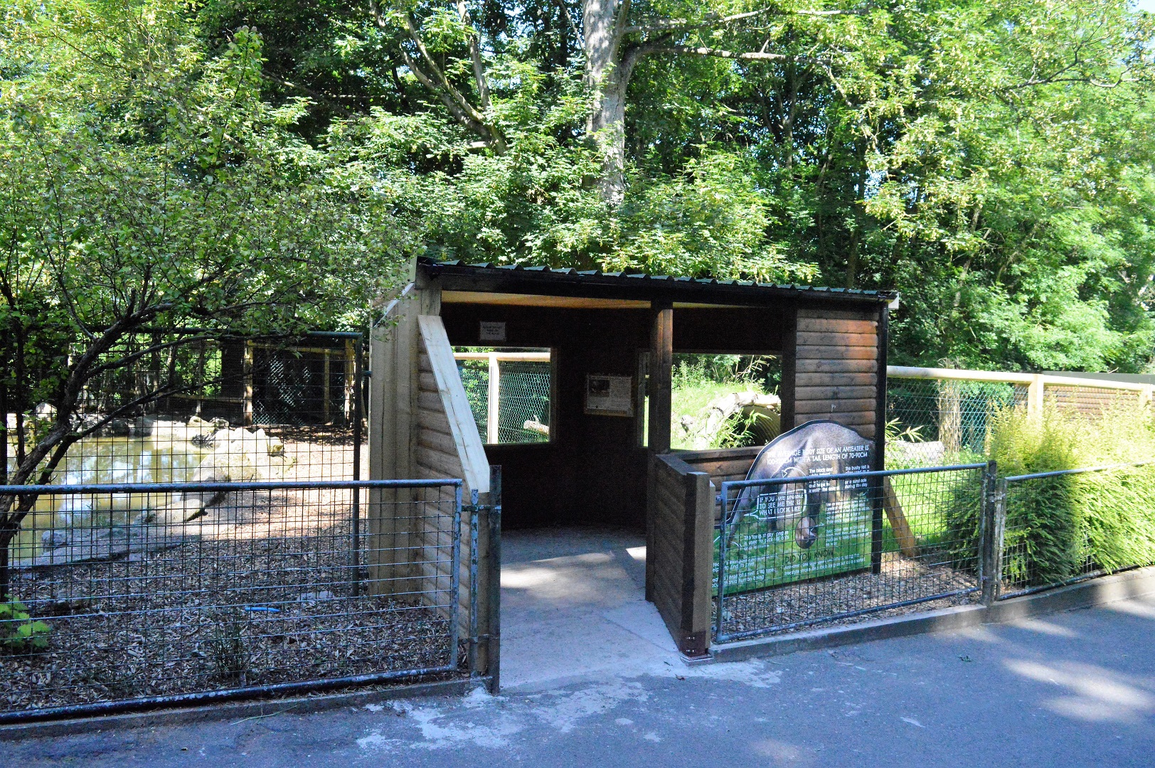 New viewing area between tapir and giant anteater enclosure