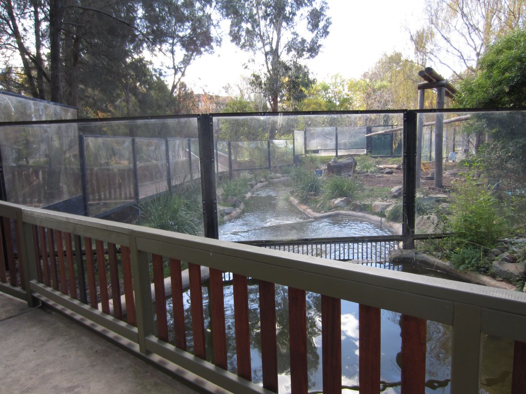 New viewing at back of Sun Bears