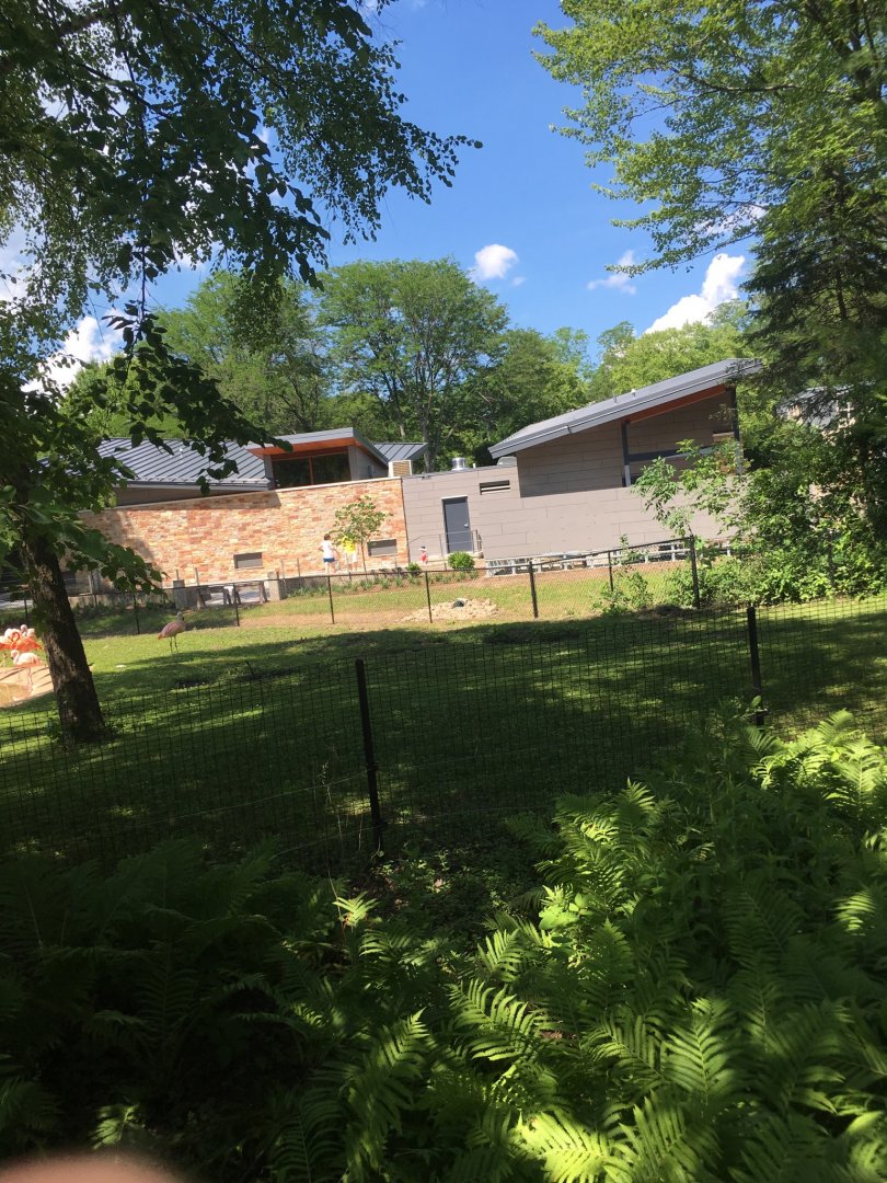 New Viewing for Flamingos + New Bathrooms