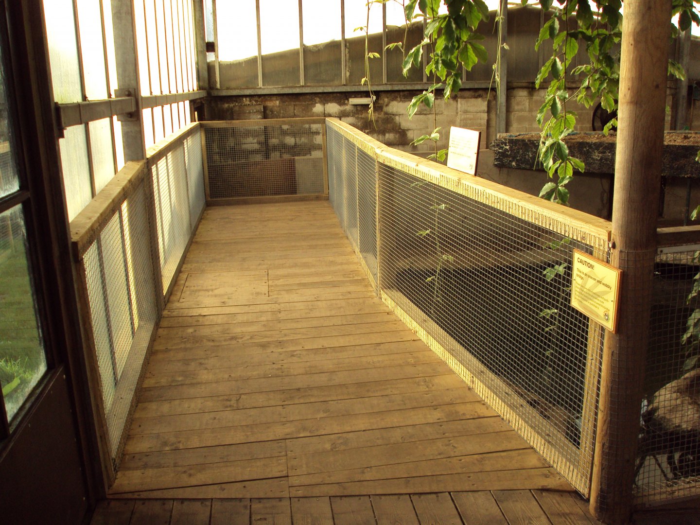 New viewing platform for Mugger 27/10/2019