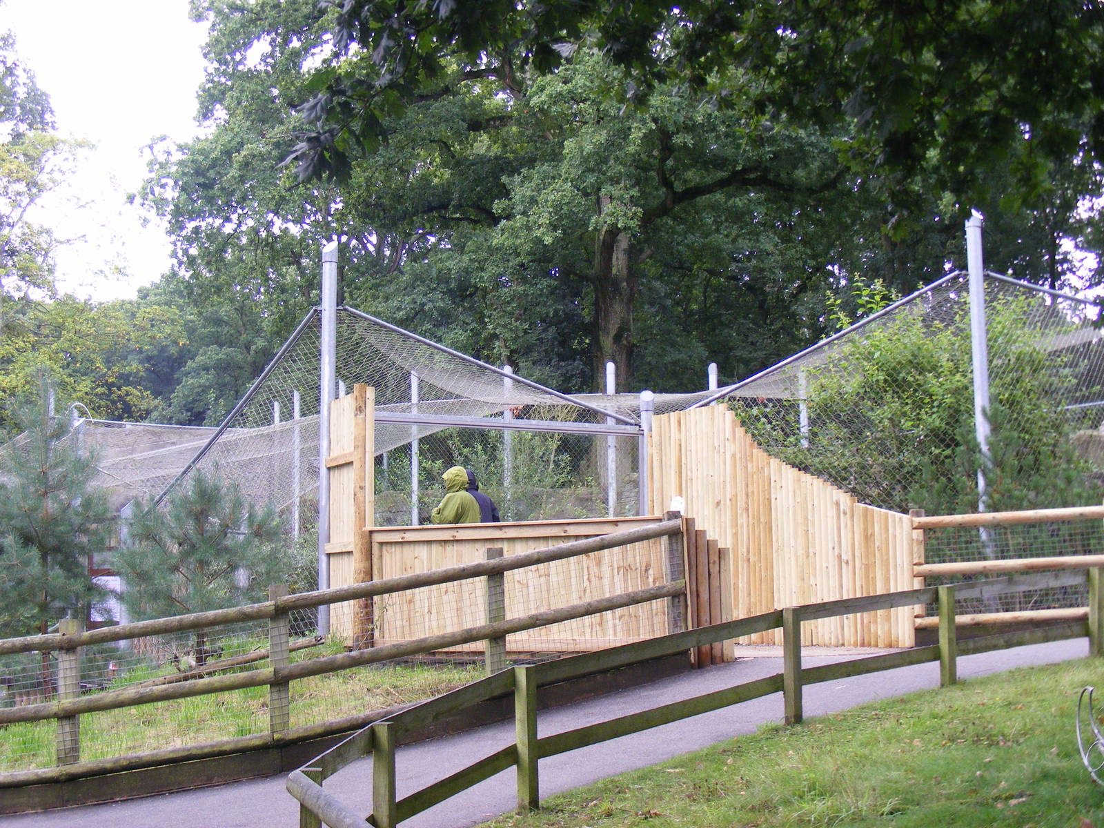 New viewing platform for snow leopards at Marwell Wildlife on 26 August 201