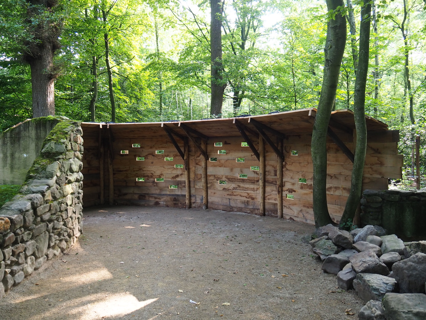 New viewing wall for new wildlife feeding area, 2021-07-20