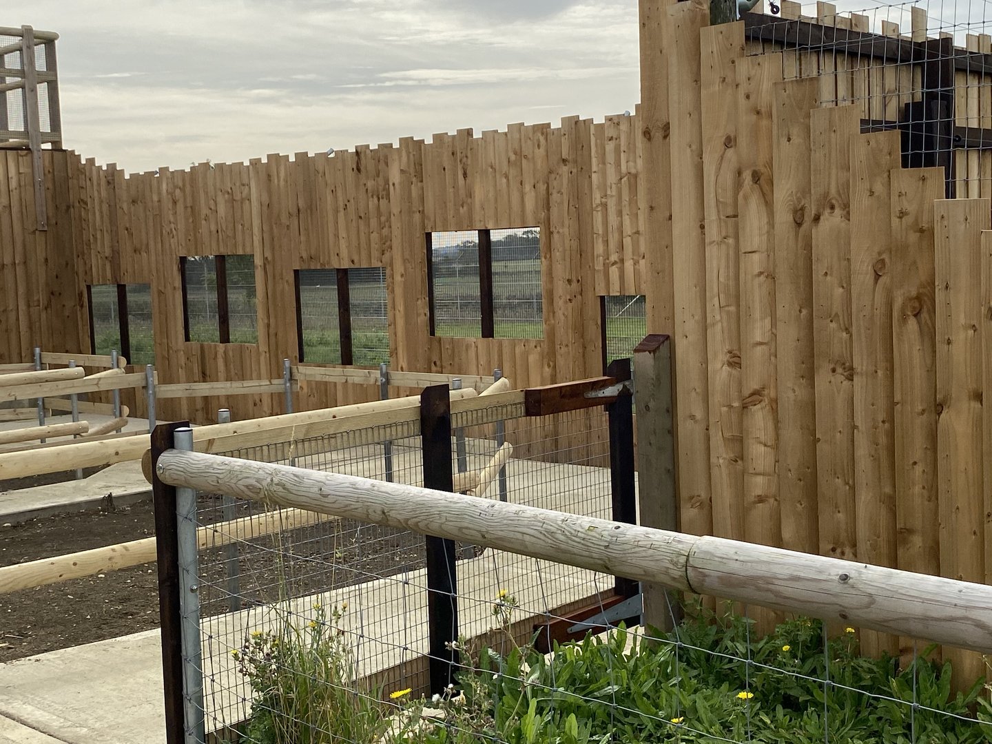 New viewing windows (dingoes) Hamerton UK