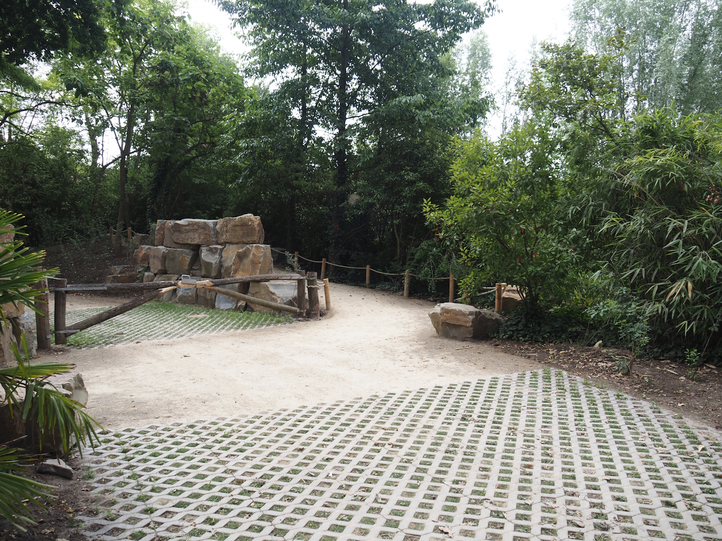 New visitor walkway and closed off former visitor walkway next to the elephant exhibit, 2025-07-12