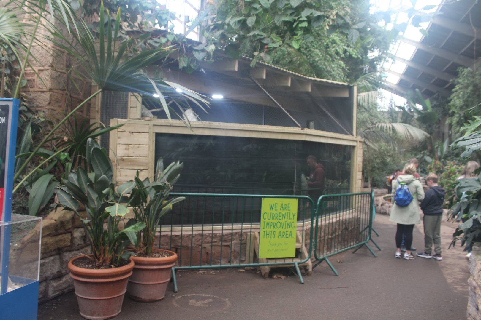 New viv in Tropical Realm chester Zoo 6 May 2024