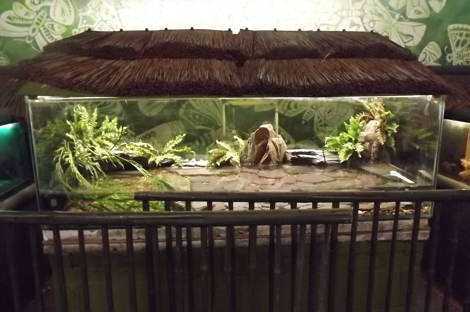 New Vivarium at Blackpool Zoo 16/06/12