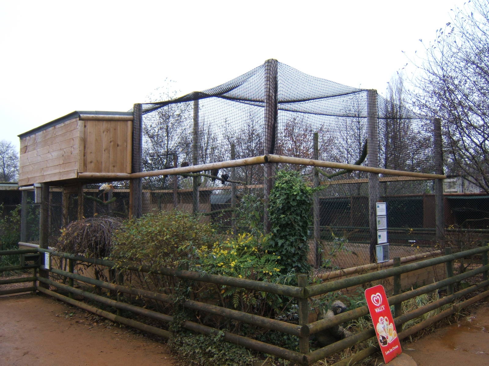 New Vulture Aviary