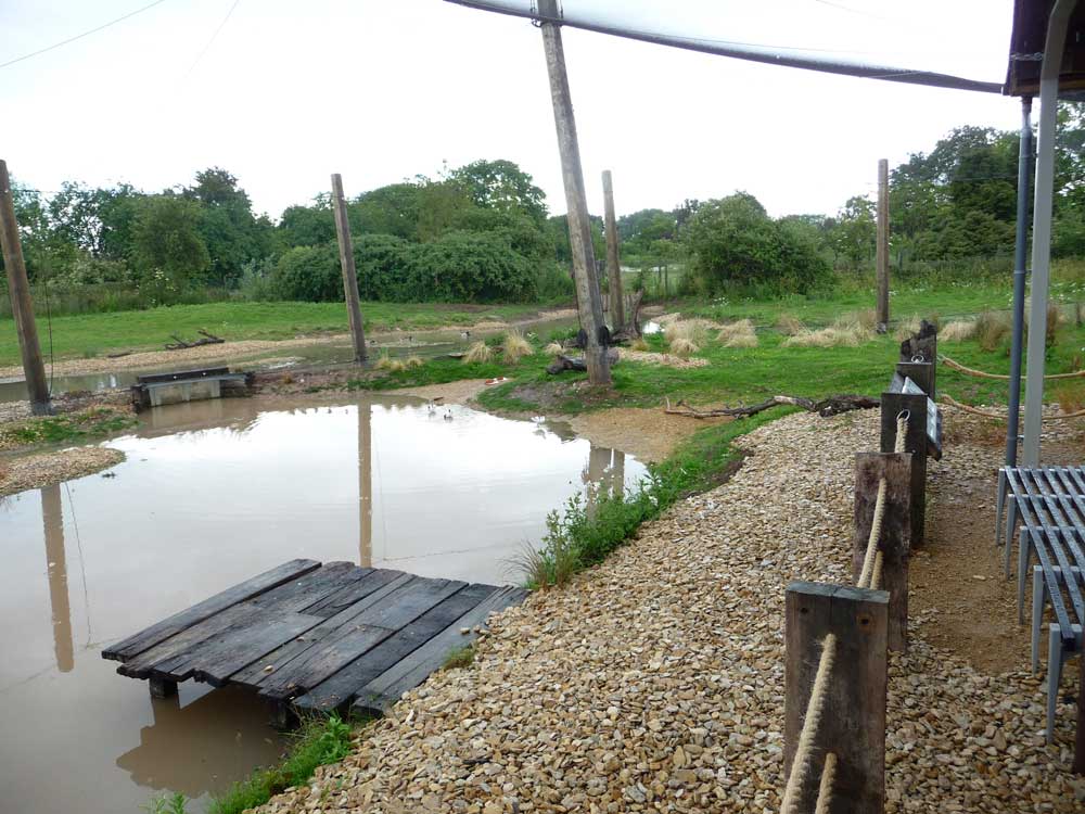 New "Wader Shore" aviary