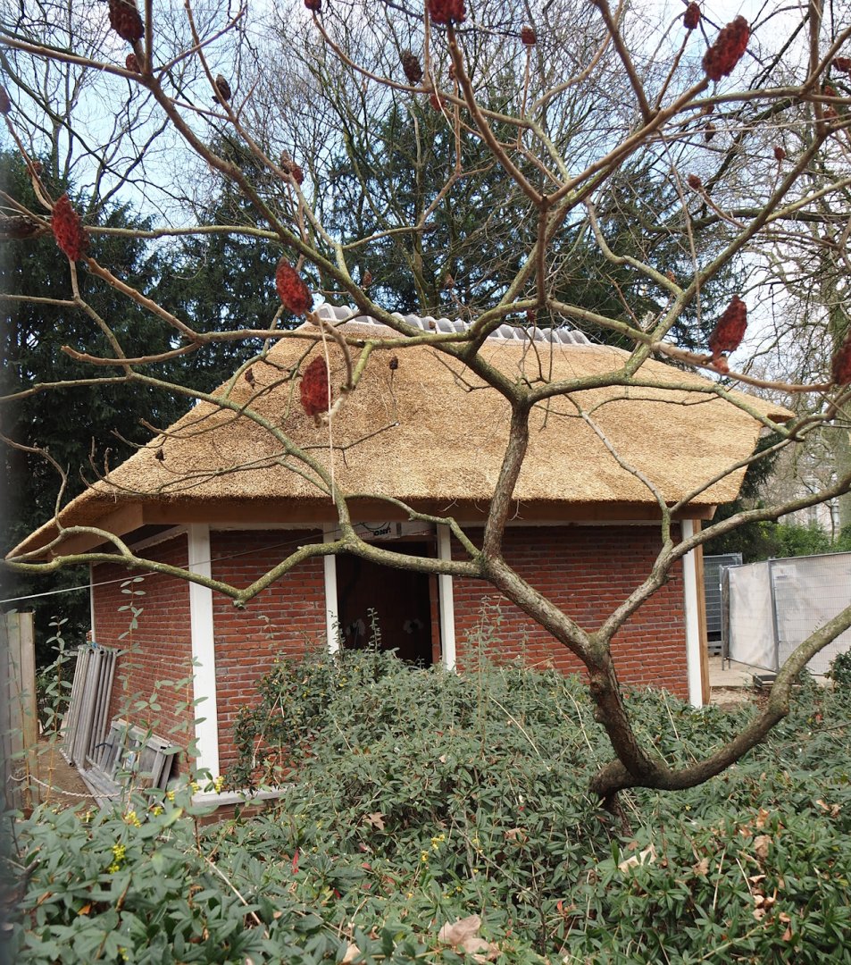New waffle house, built in same style as nearby old deer houses, 2024-03-09