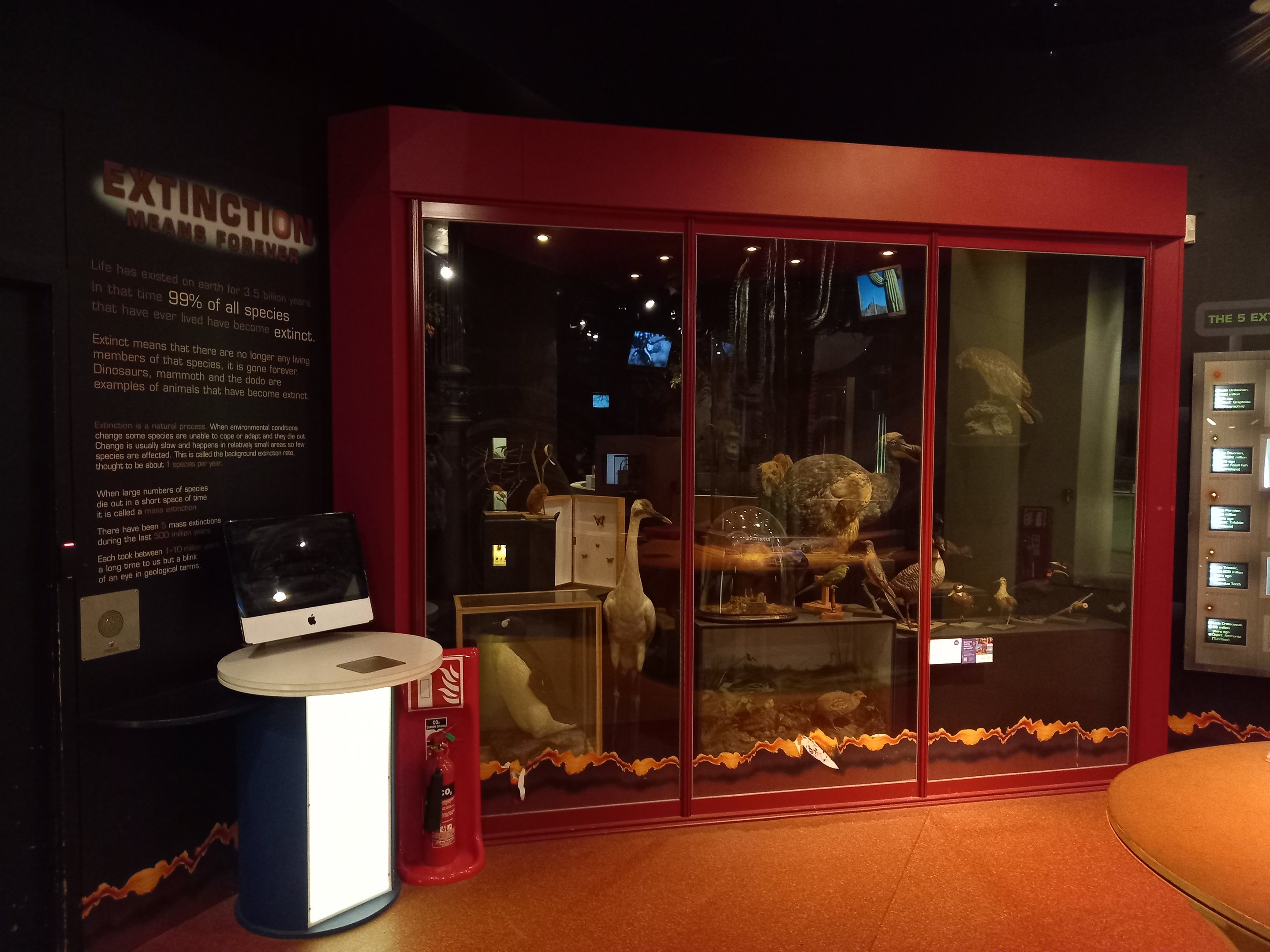 New Walk Museum and Art Gallery, Leicester