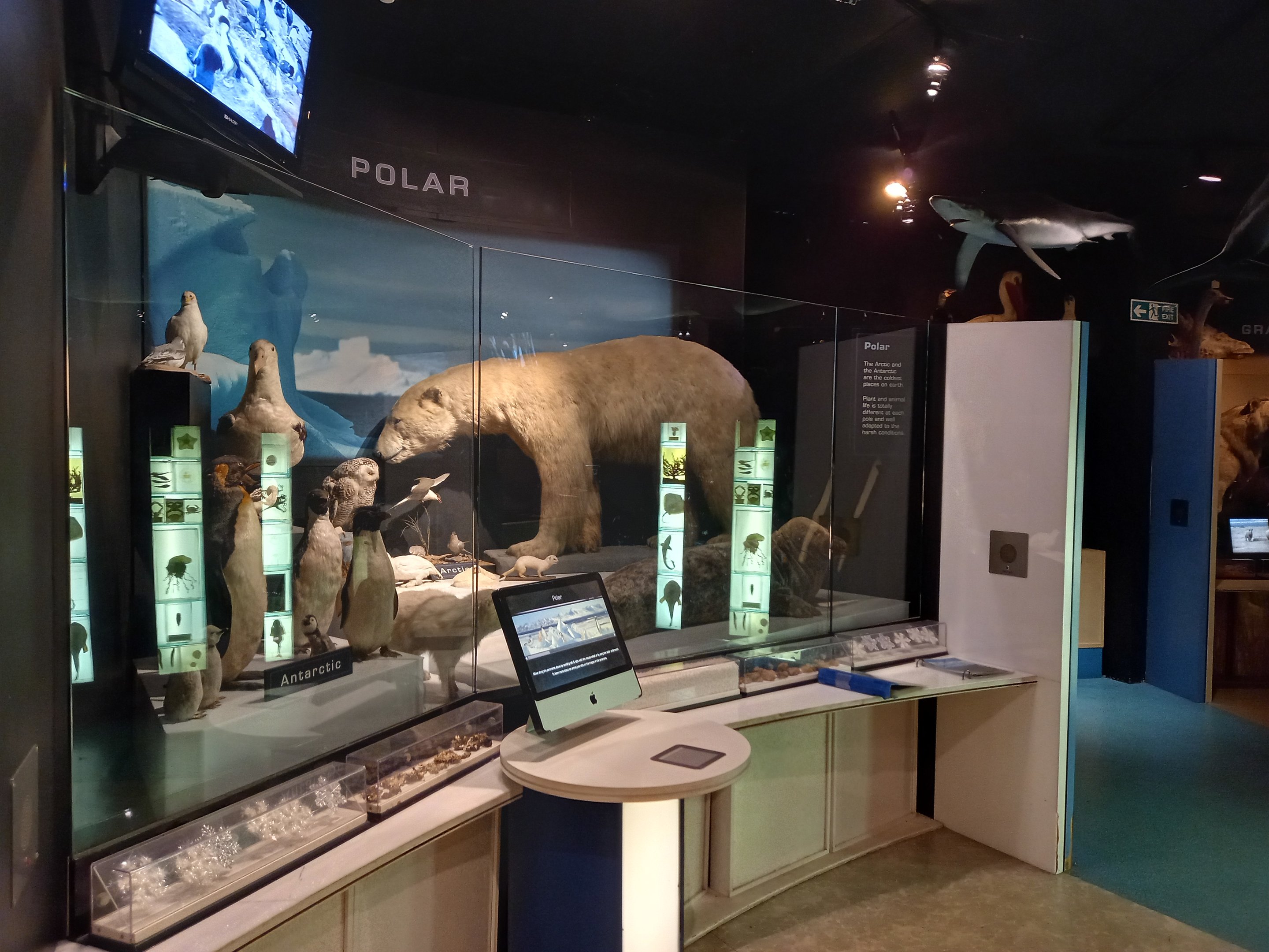 New Walk Museum and Art Gallery, Leicester