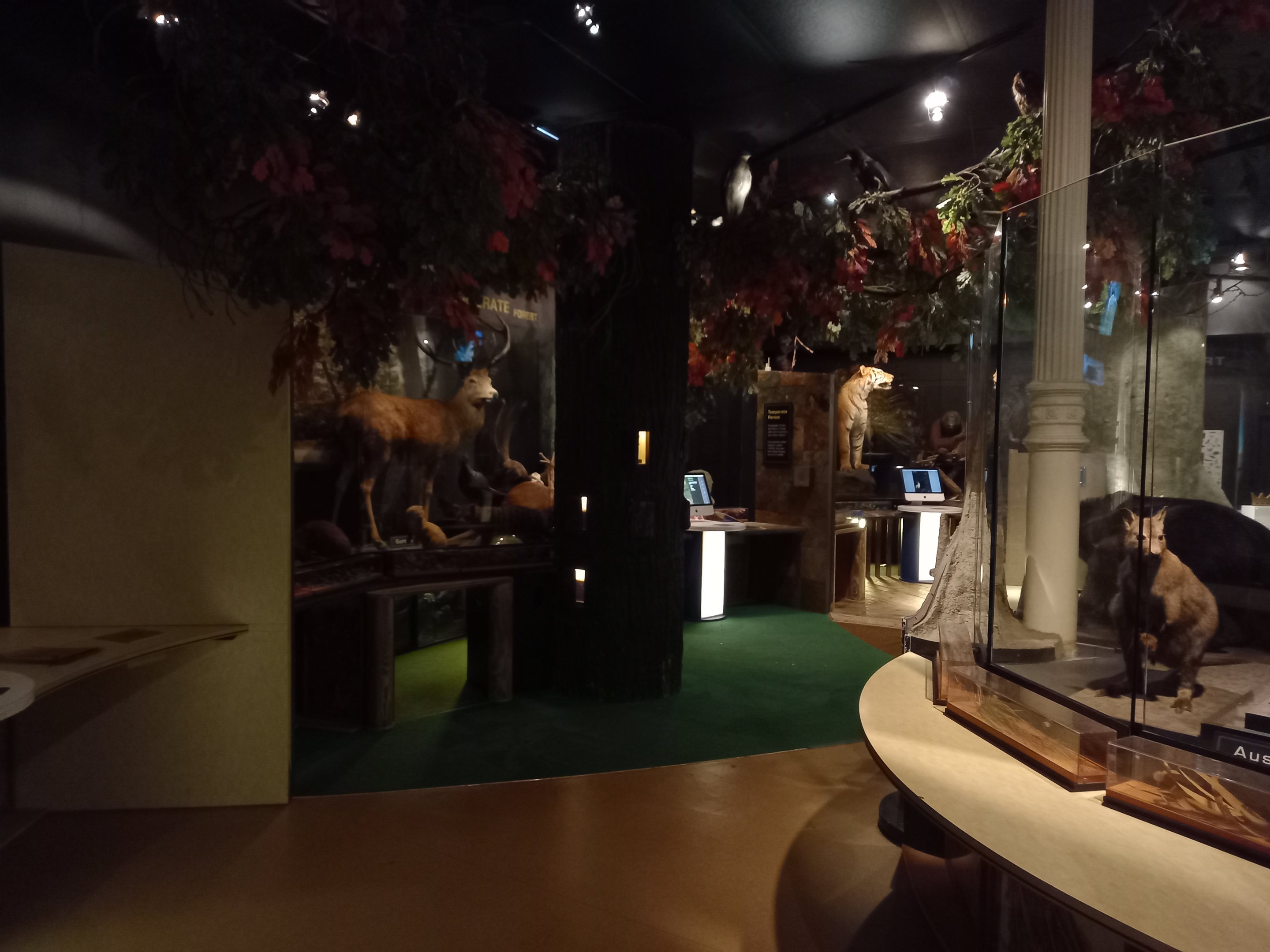 New Walk Museum and Art Gallery,  Leicester