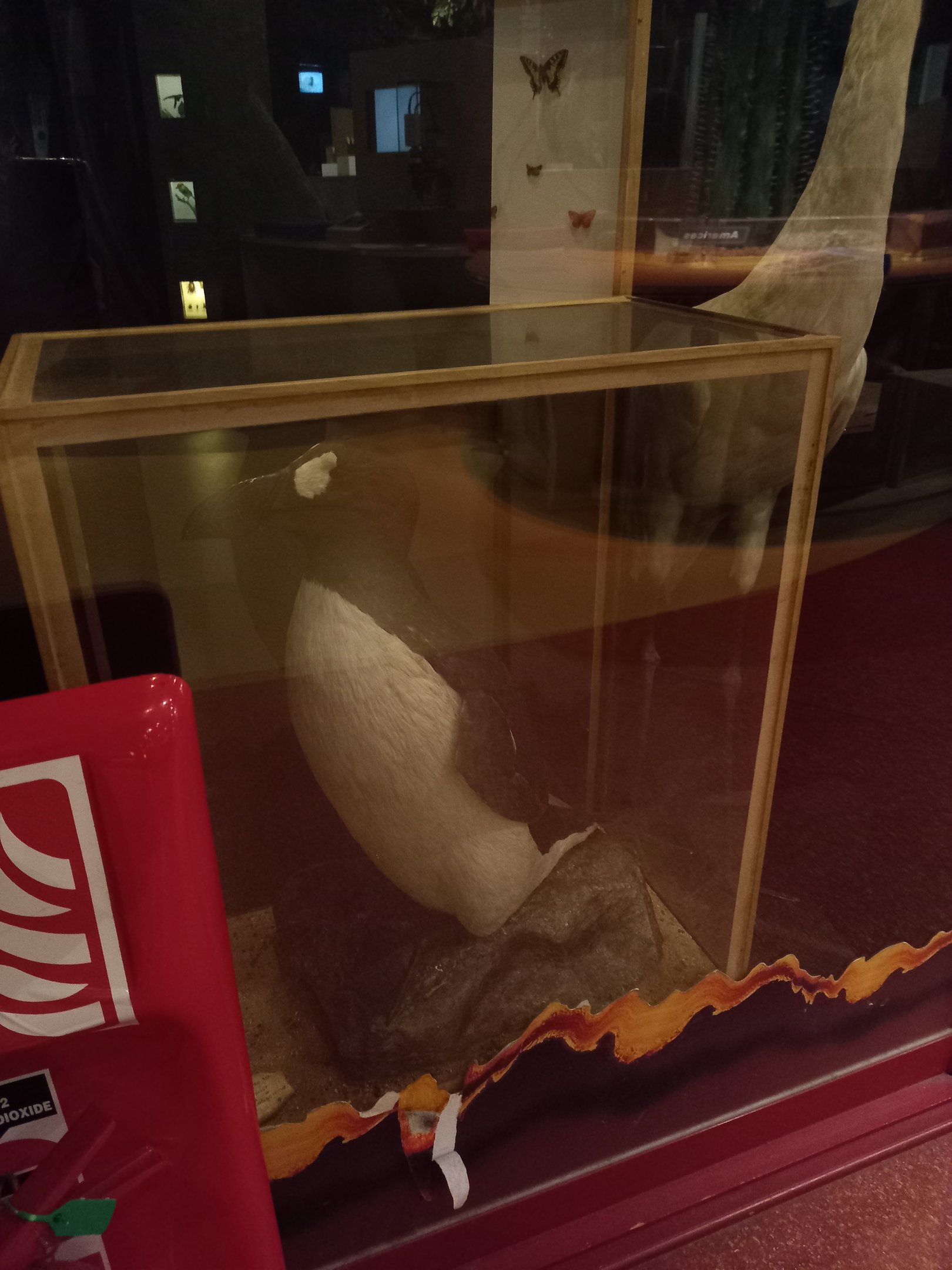 New Walk Museum and Art Gallery,  Leicester