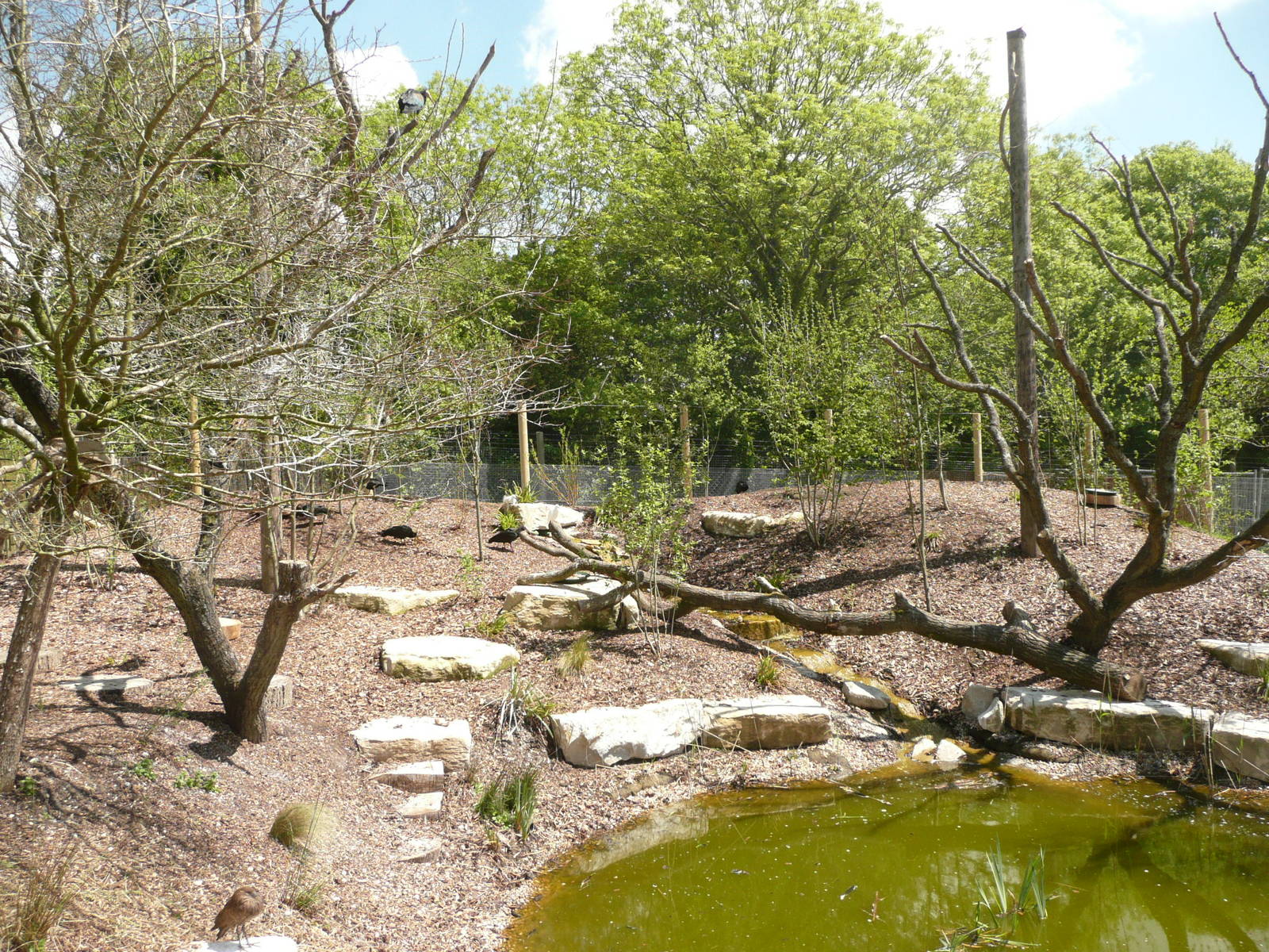 New walk-through aviary