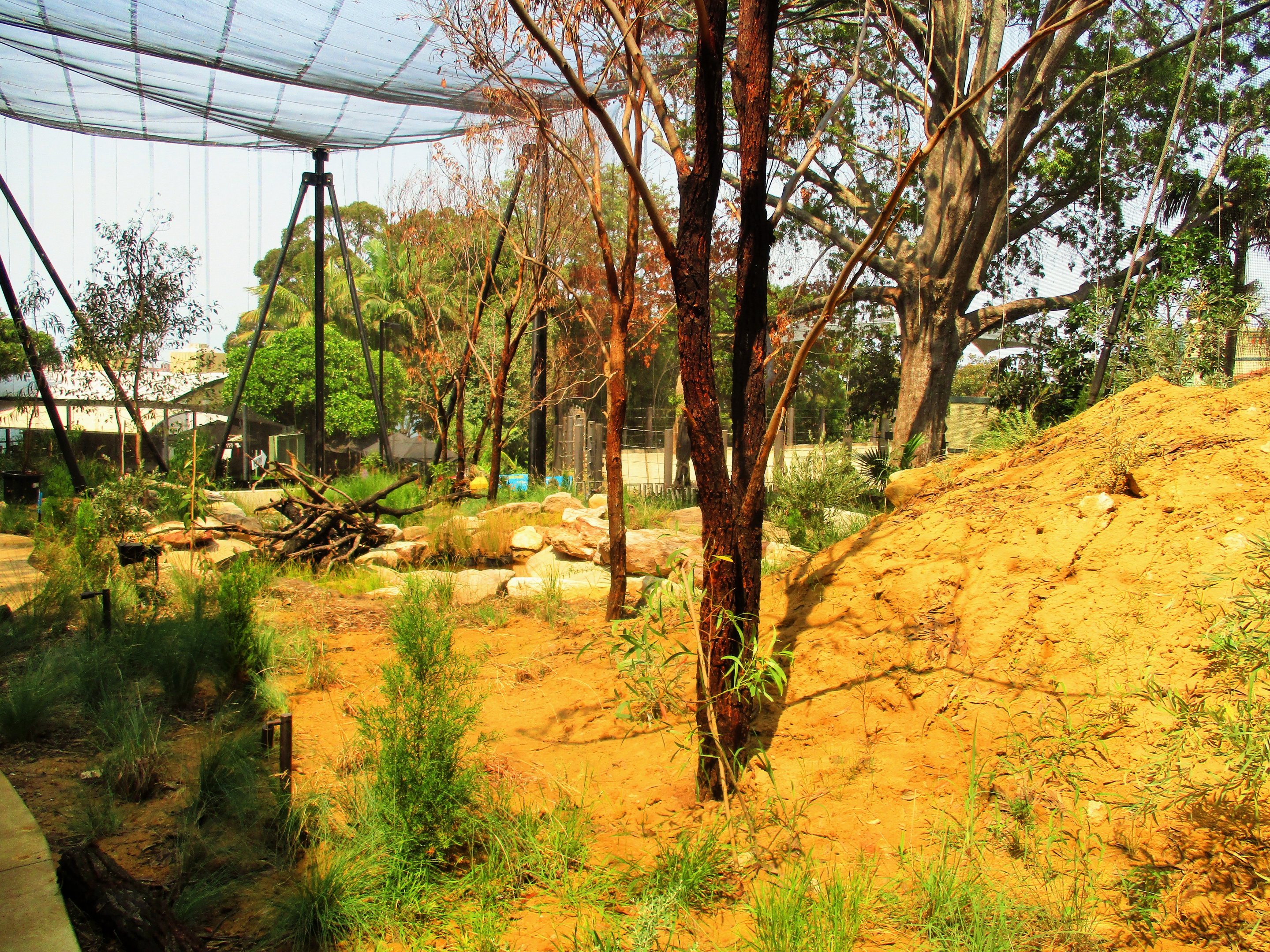 New Walk-through Aviary