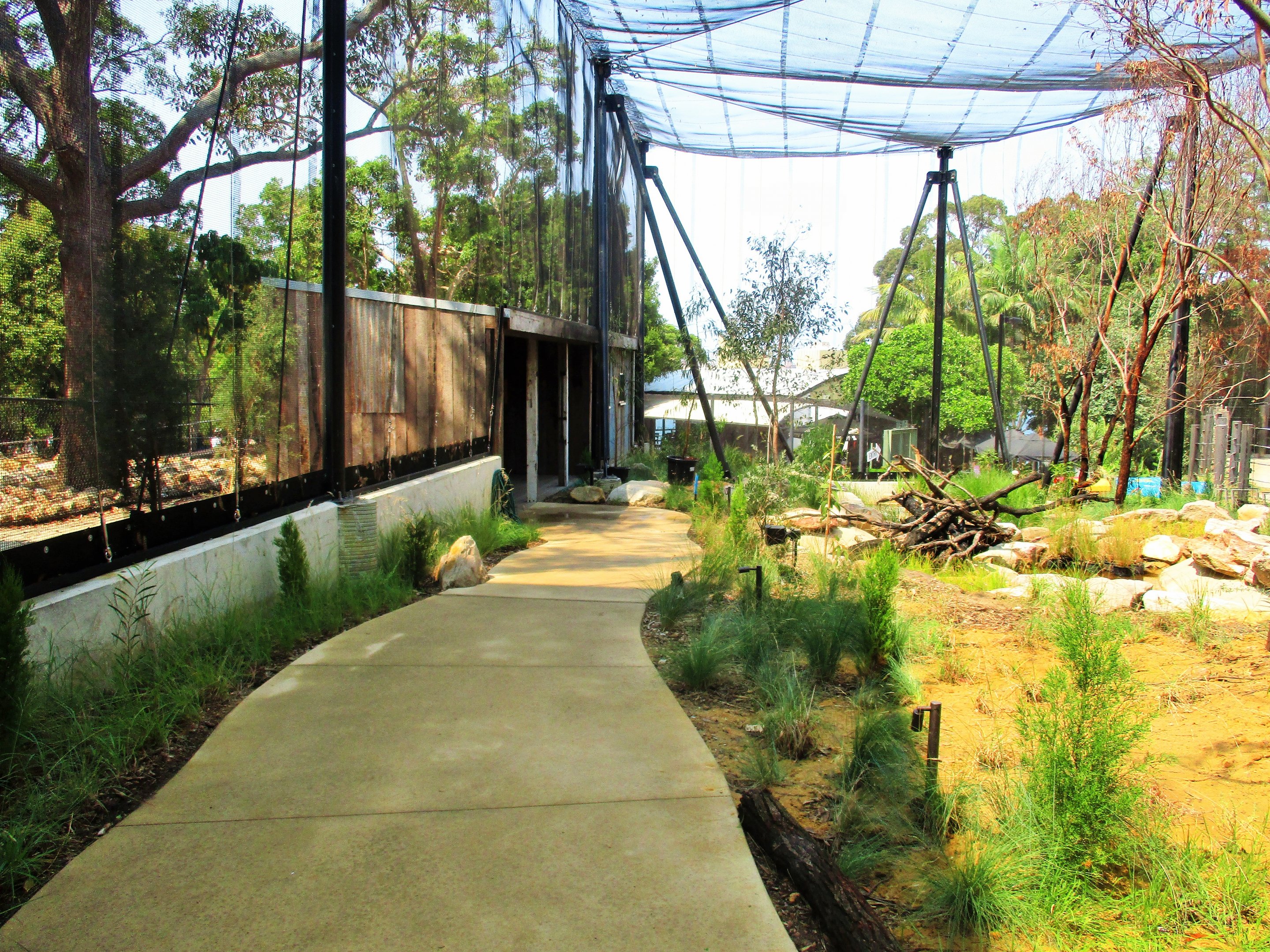 New Walk-through Aviary