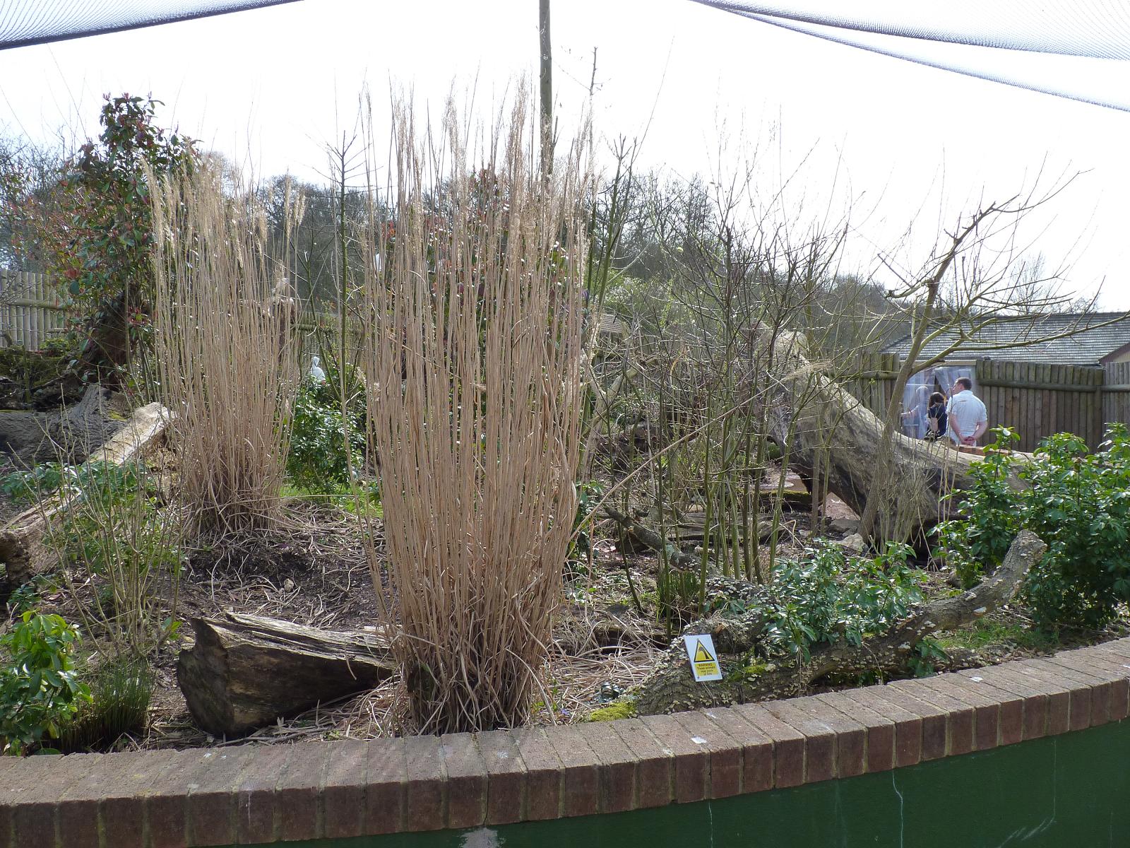 New Walk-Through Aviary