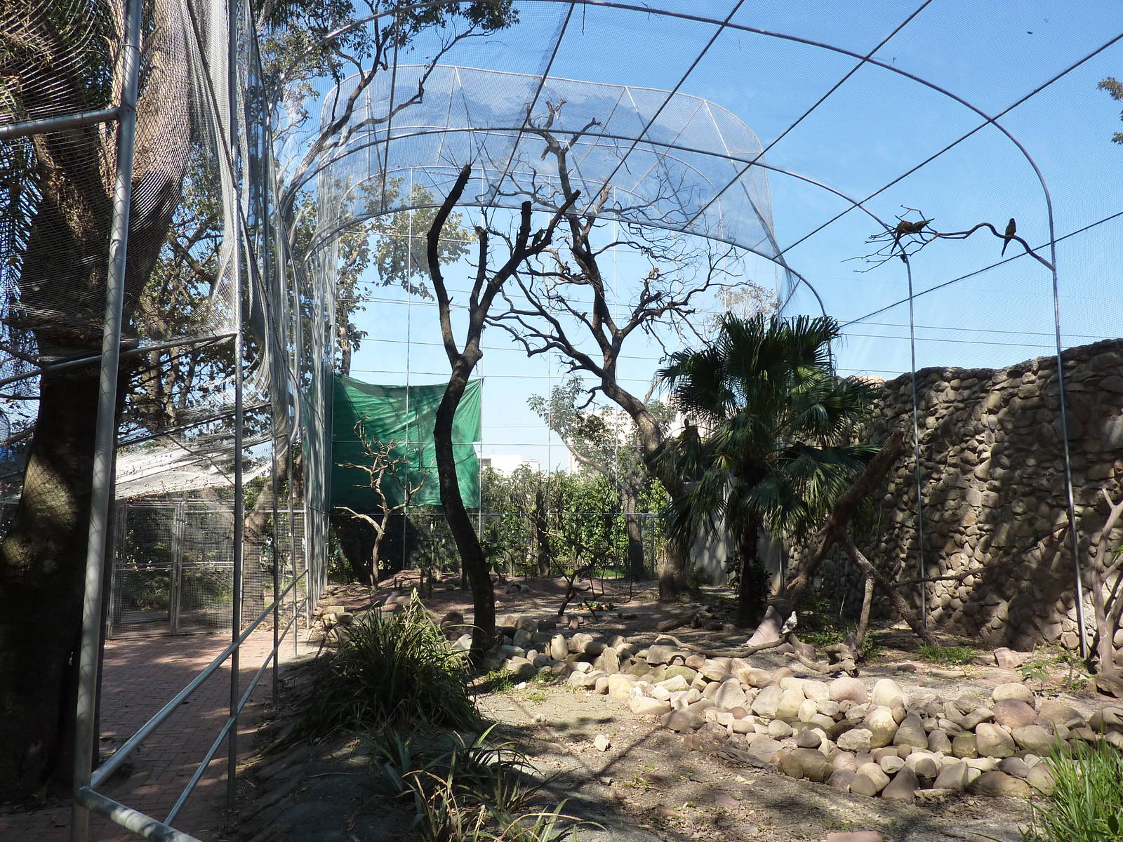 New walkthrough aviary