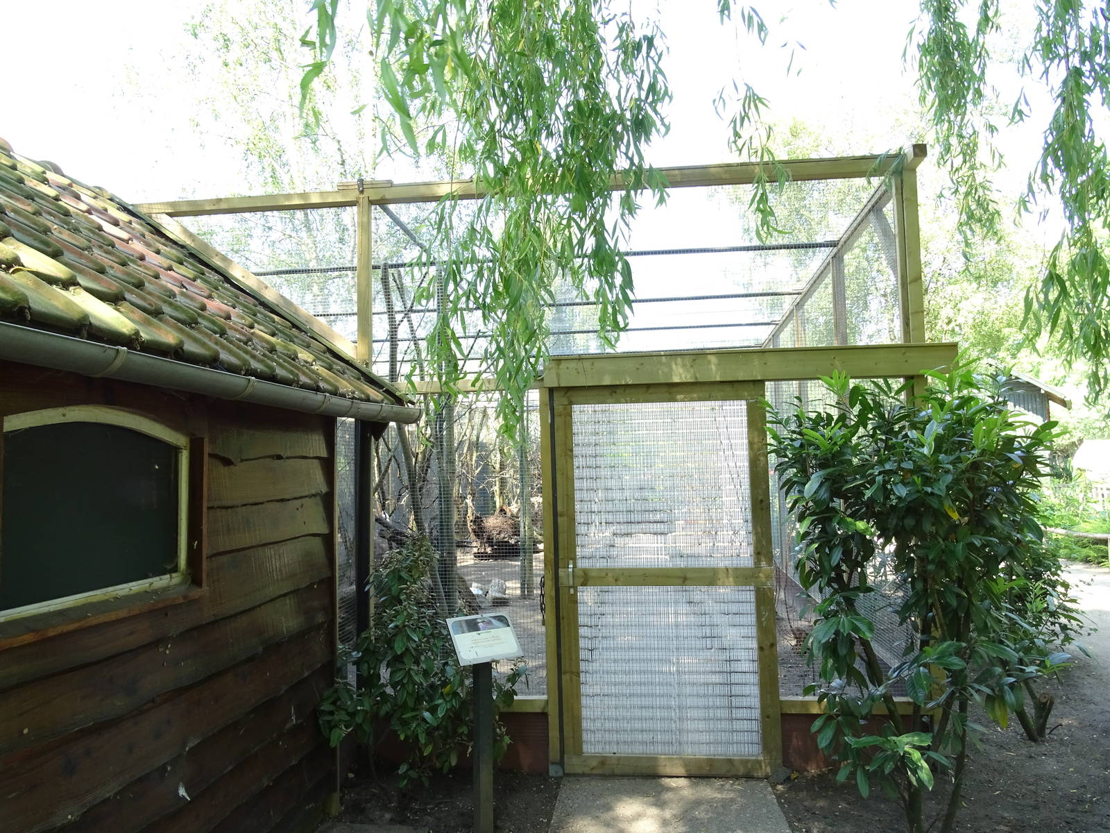 New walkthrough aviary