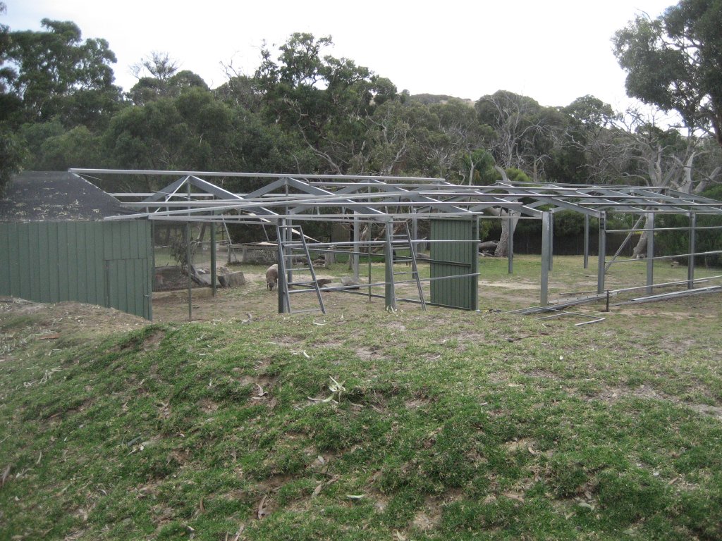 New walkthrough Aviary