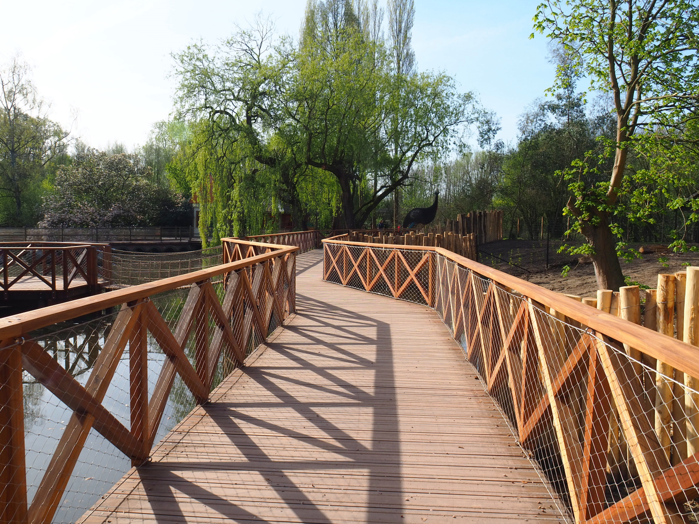 New walkway above the pond, alongside cassowary exhibits, 2022-04-12