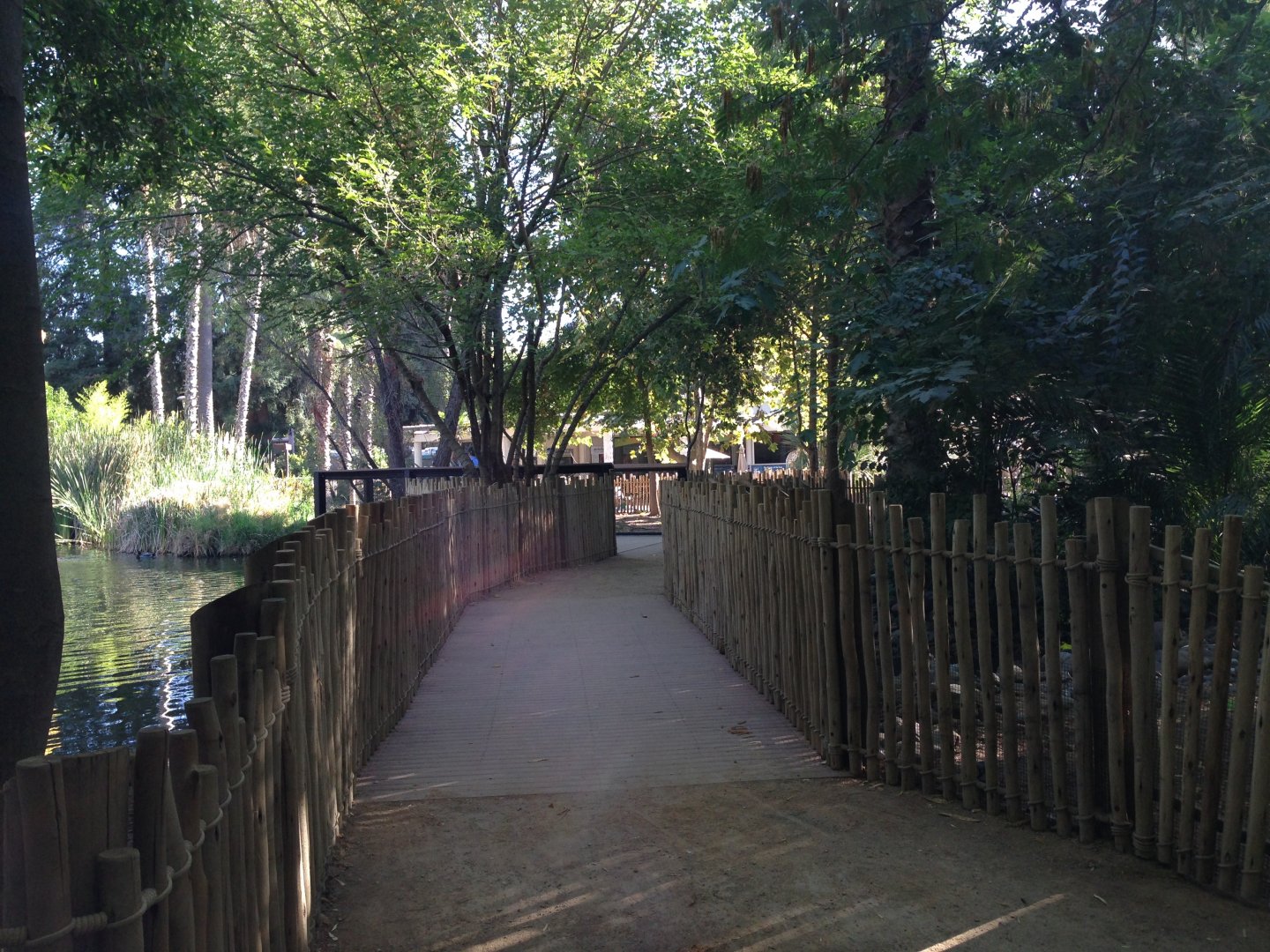 New walkway across flamingo exhibit