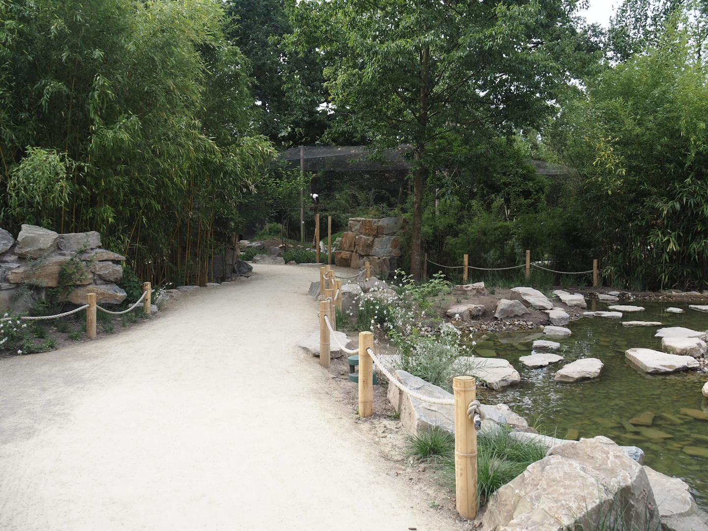 New walkway and new creek near the new Asian stork aviaries, 2025-07-12