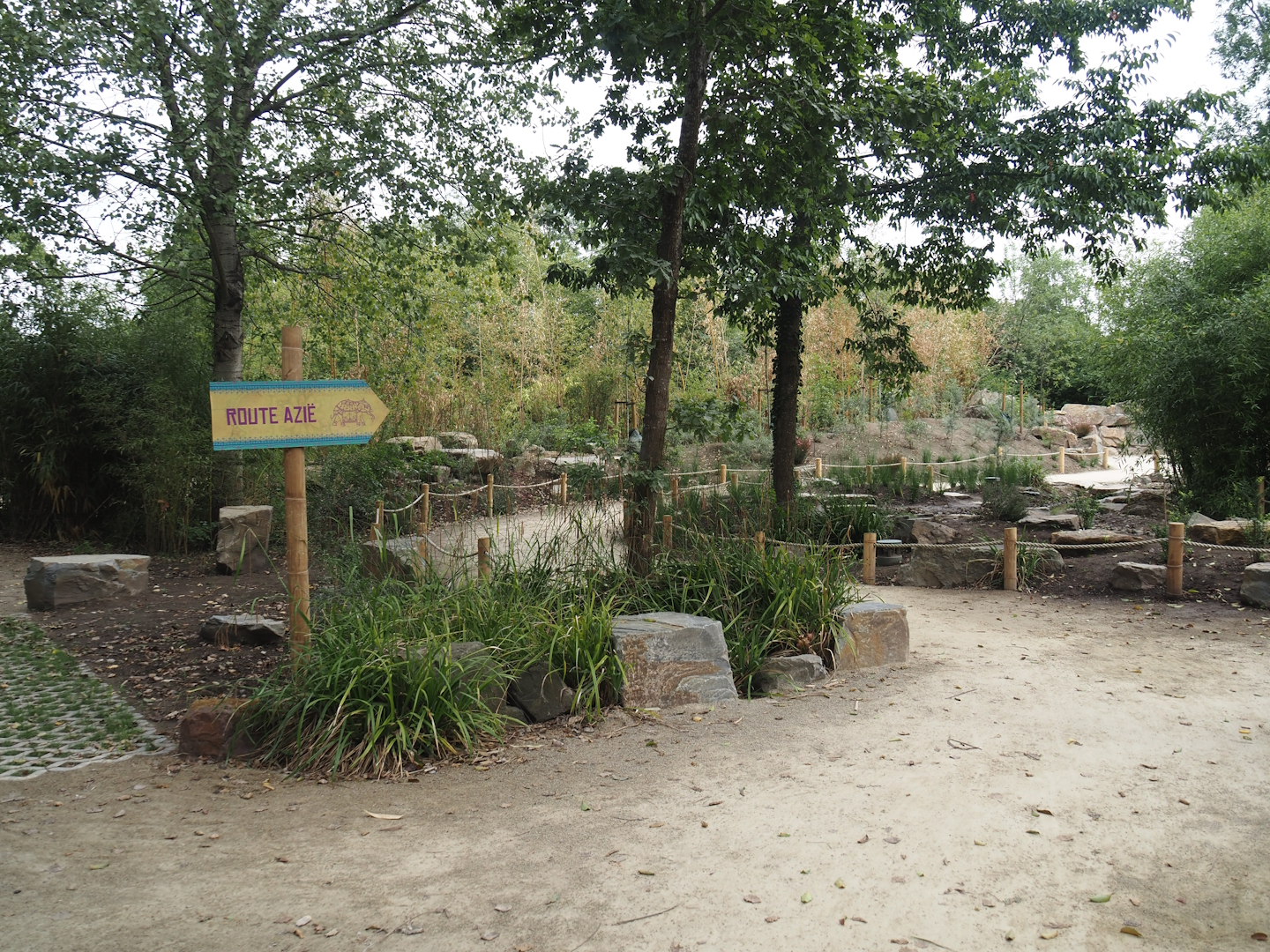 New walkway near the new Asian stork aviaries, 2025-07-12