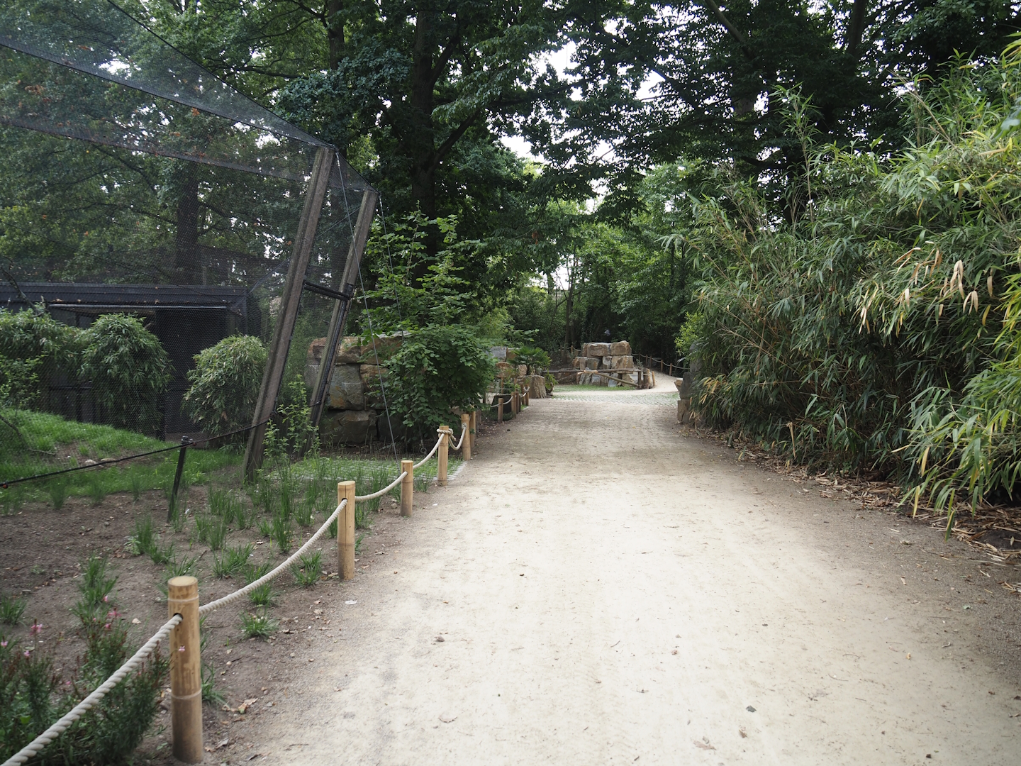 New walkway next to the new Asian stork aviaries, 2025-07-12
