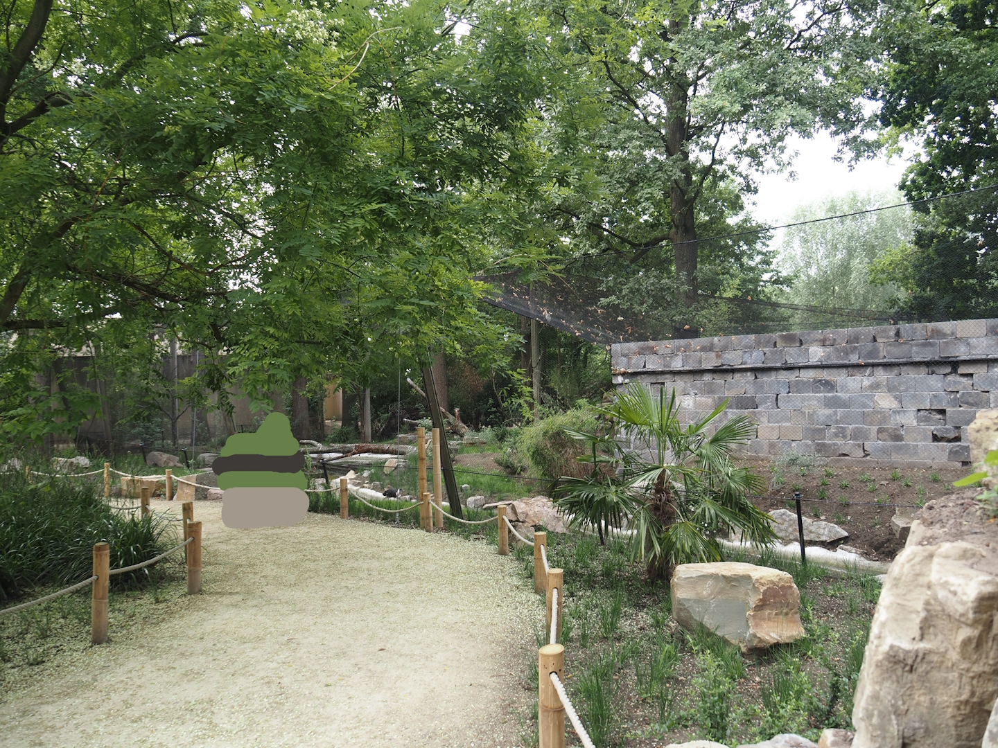 New walkway next to the new Asian woolly-necked stork aviary, 2025-07-12