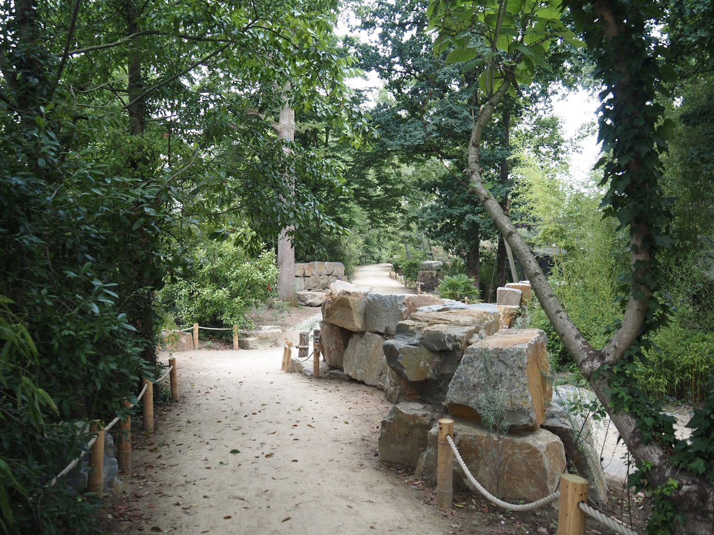 New walkway towards new Asian stork aviaries, 2025-07-12