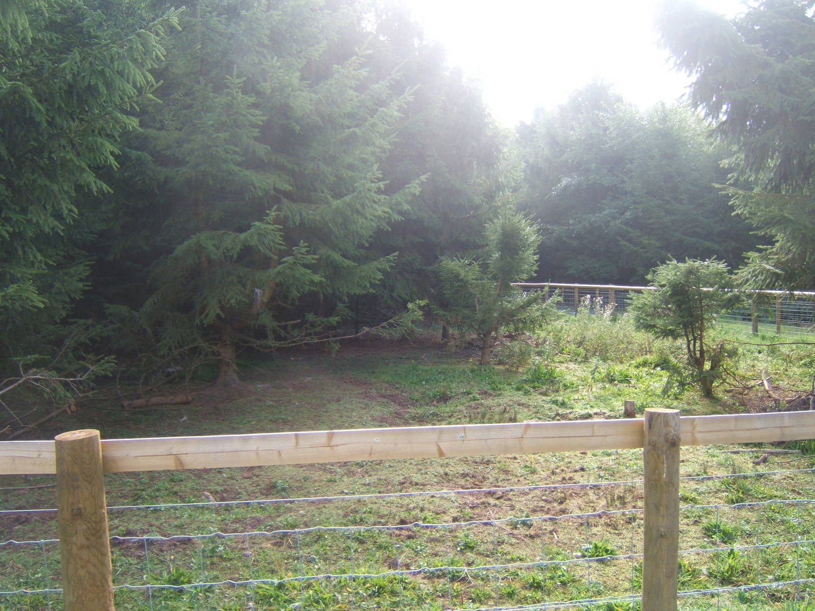 New Warthog enclosure