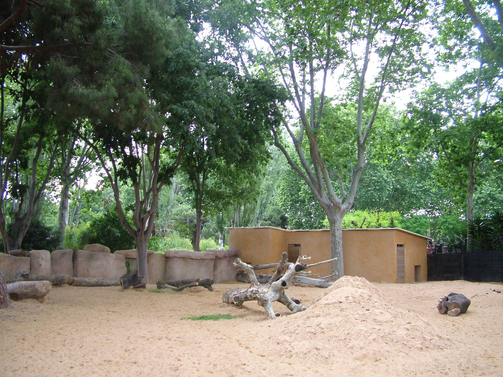 New Warthog Exhibit at Barcelona, 30/05/11