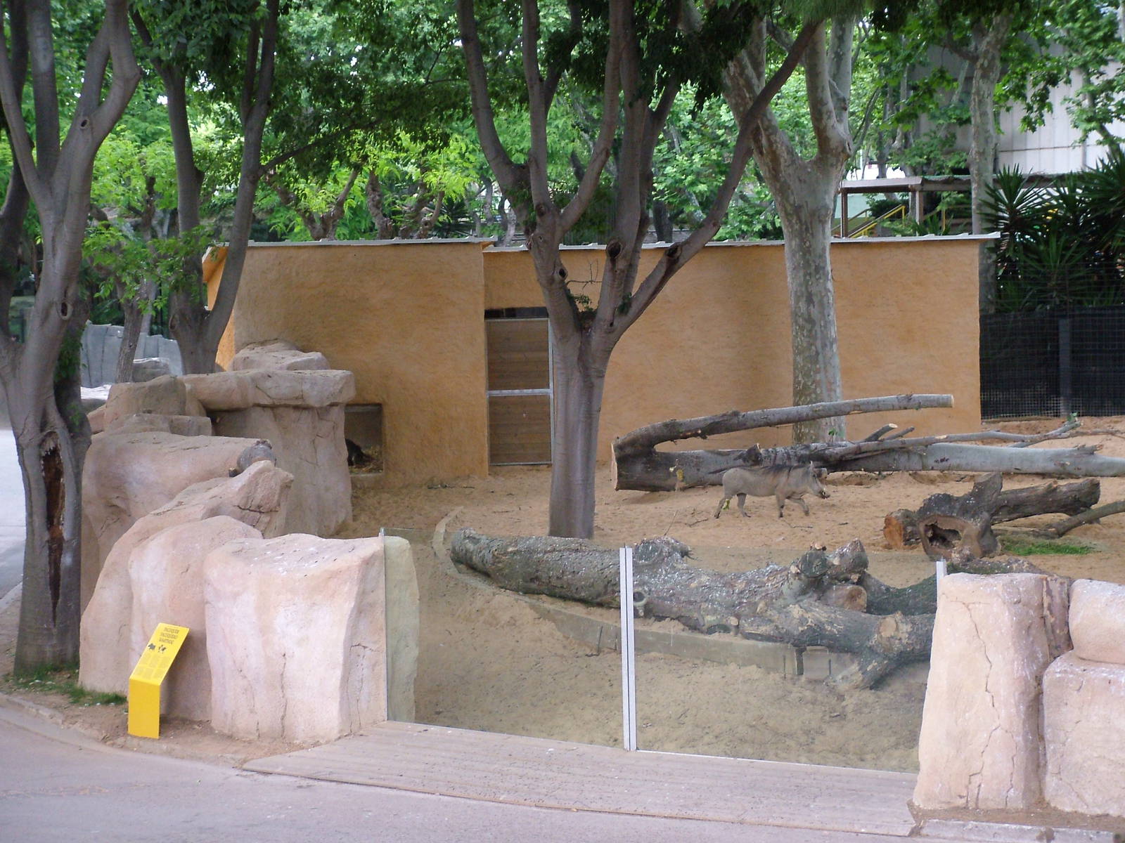 New Warthog Exhibit at Barcelona, 30/05/11