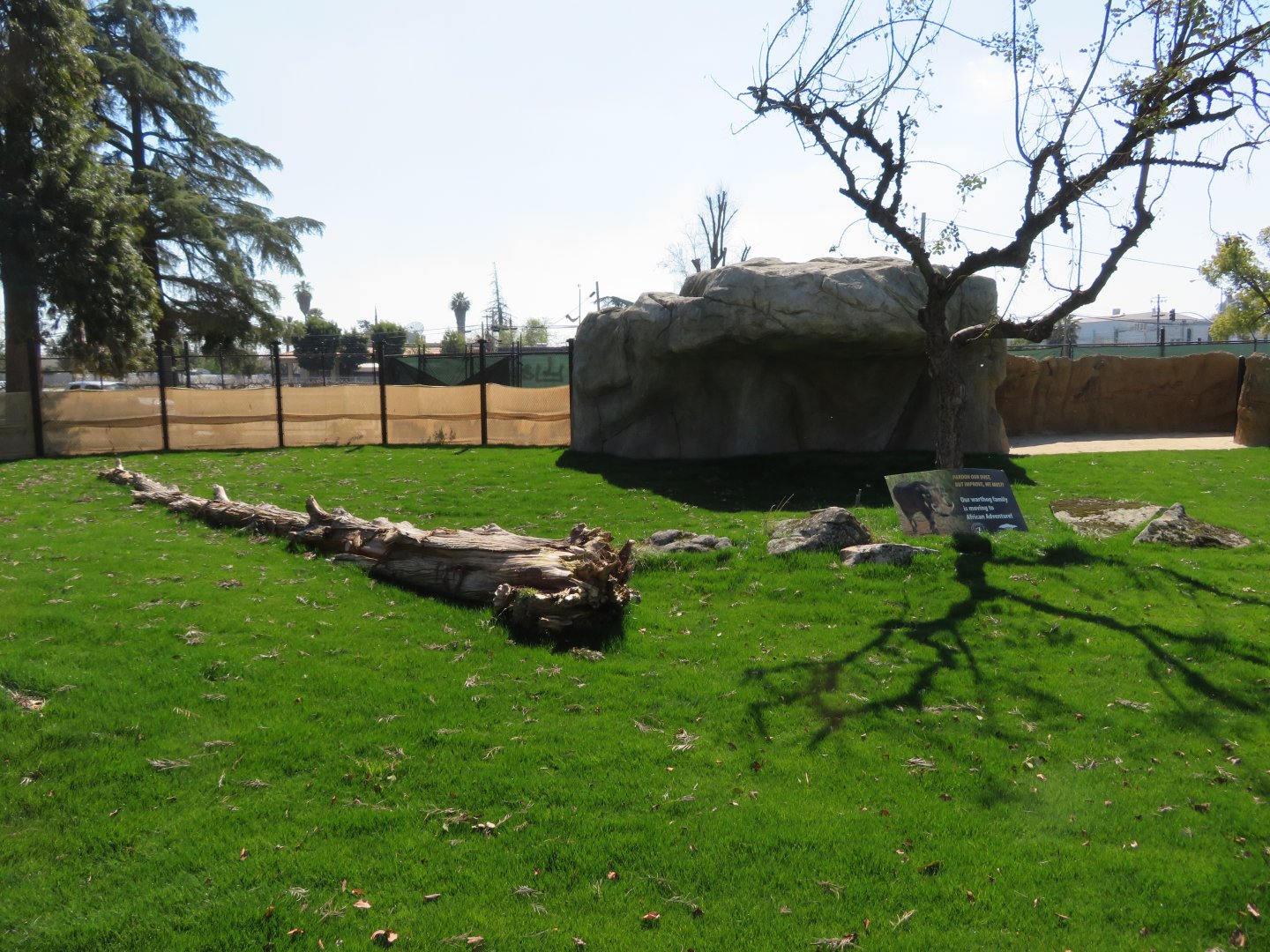 NEW Warthog/Tortoise Exhibit