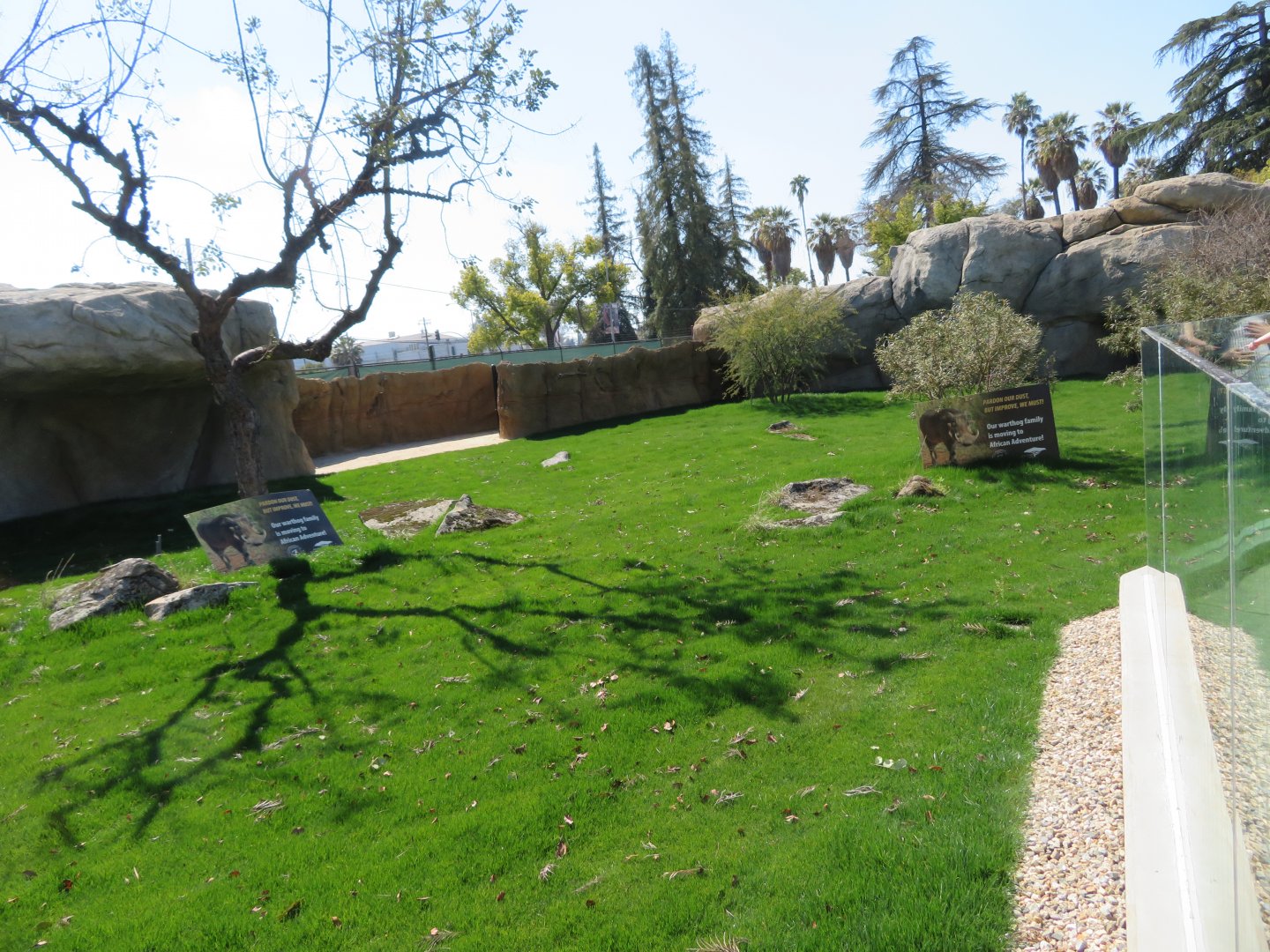 NEW Warthog/Tortoise Exhibit