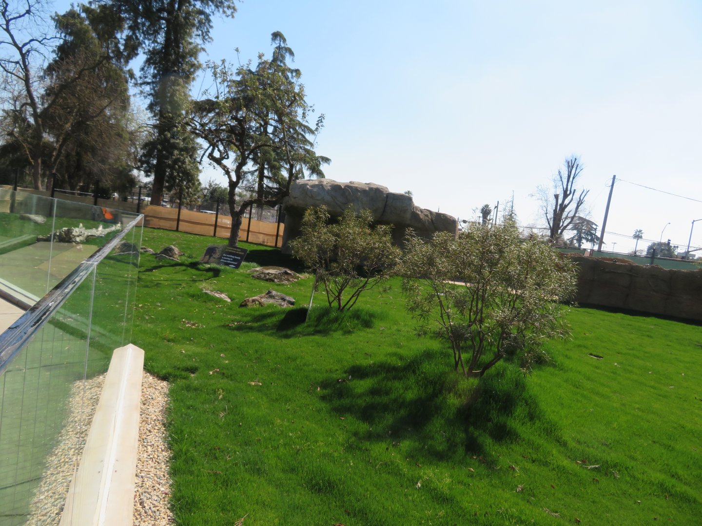 NEW Warthog/Tortoise Exhibit