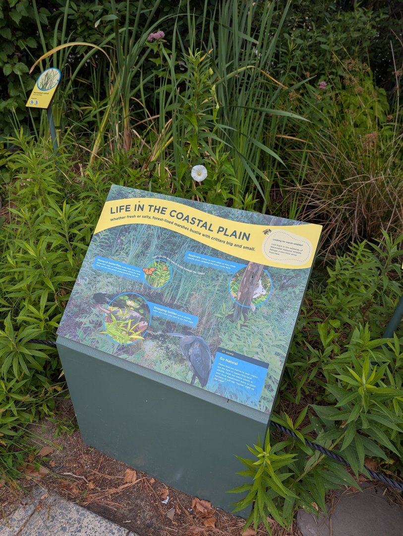 New Waterfront Park Graphics